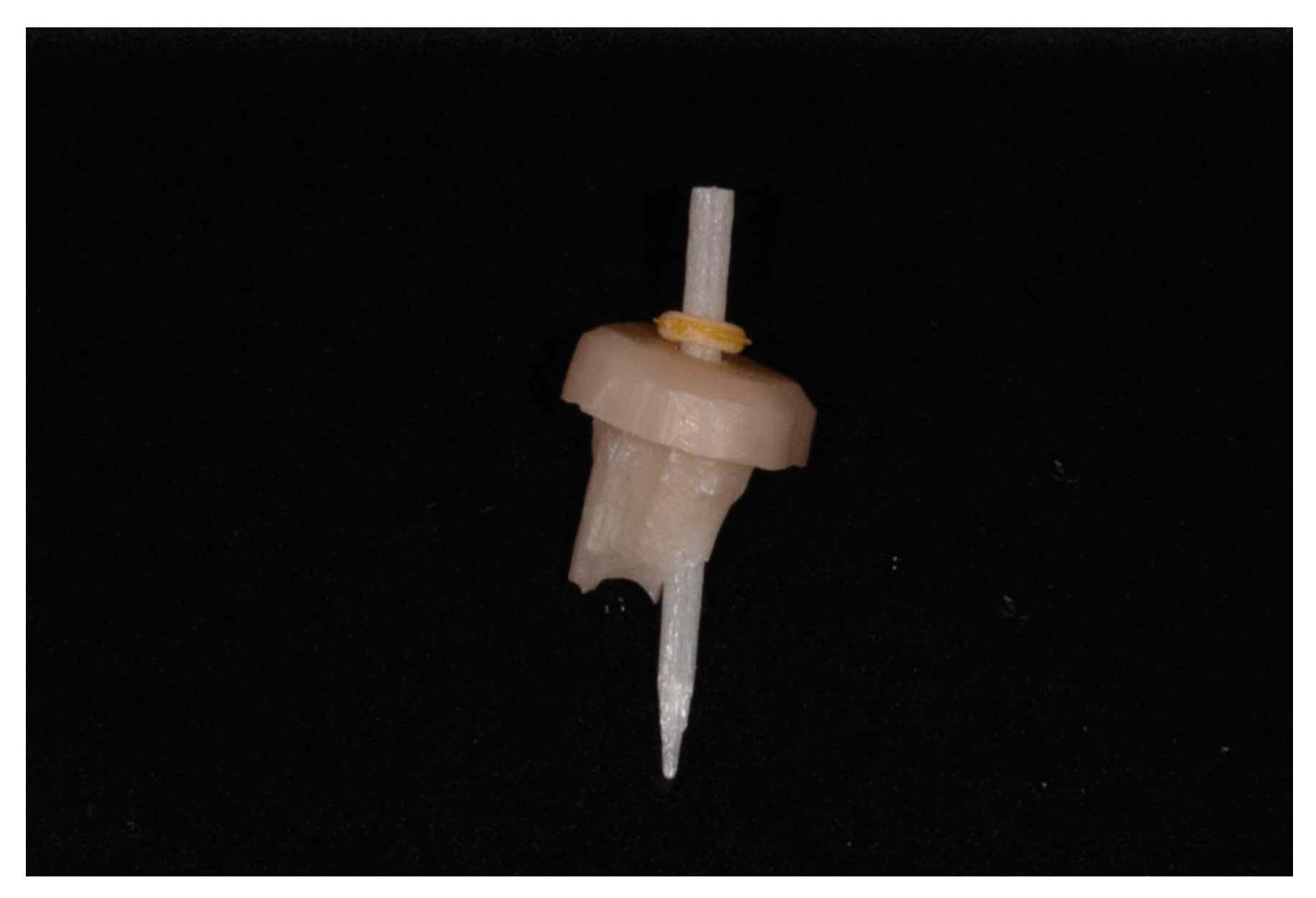 Healthcare 11 00727 g006