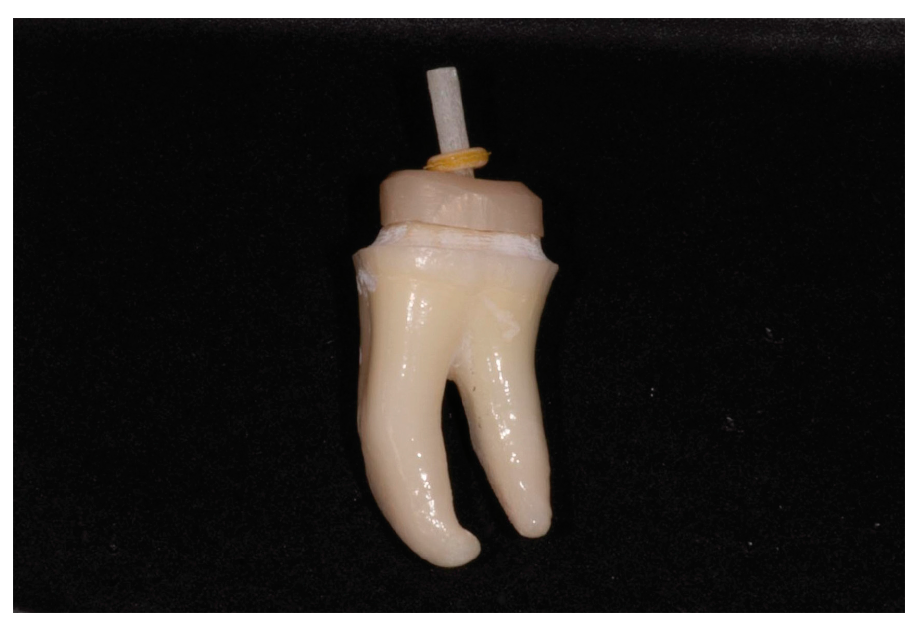 Healthcare 11 00727 g007