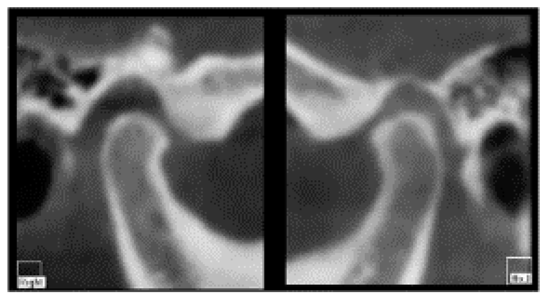 Healthcare 11 00790 g004 Healthcare 11 00790 g004