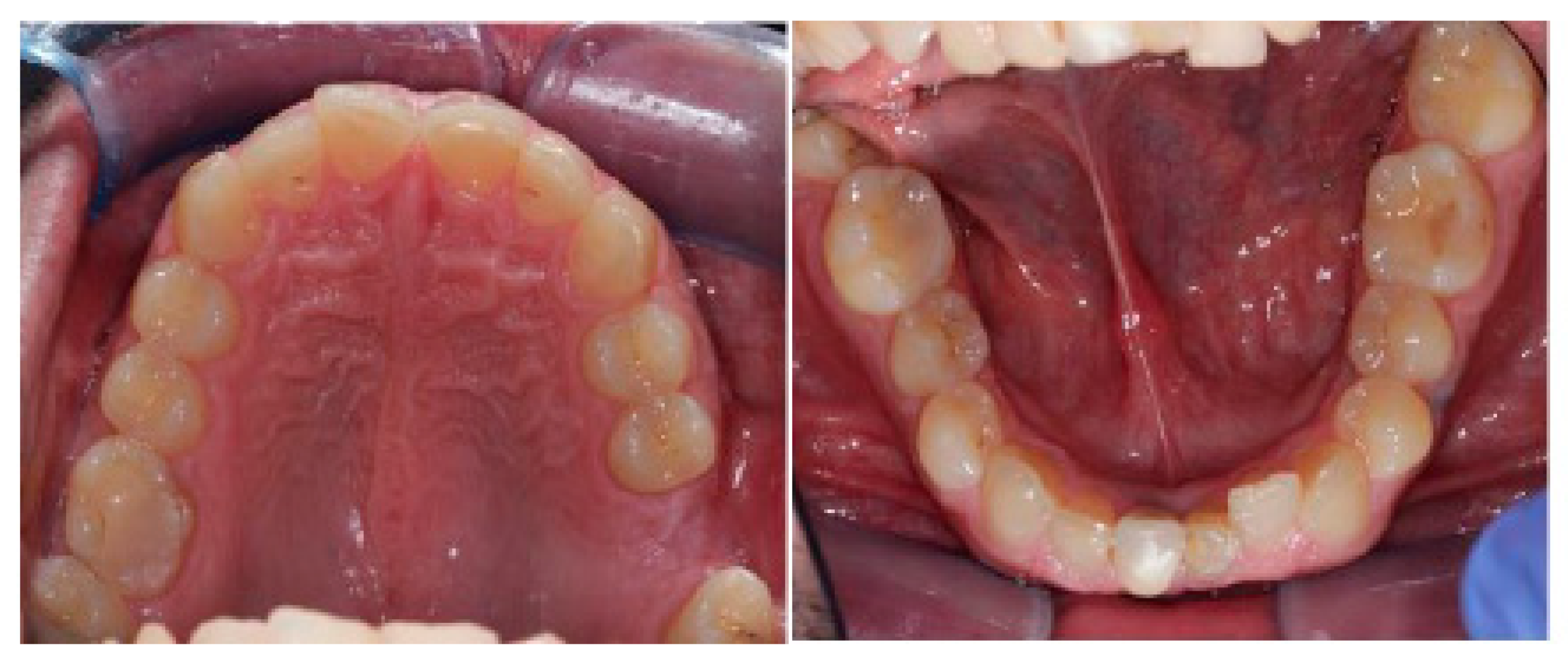 Healthcare 11 00790 g025a Healthcare 11 00790 g025a