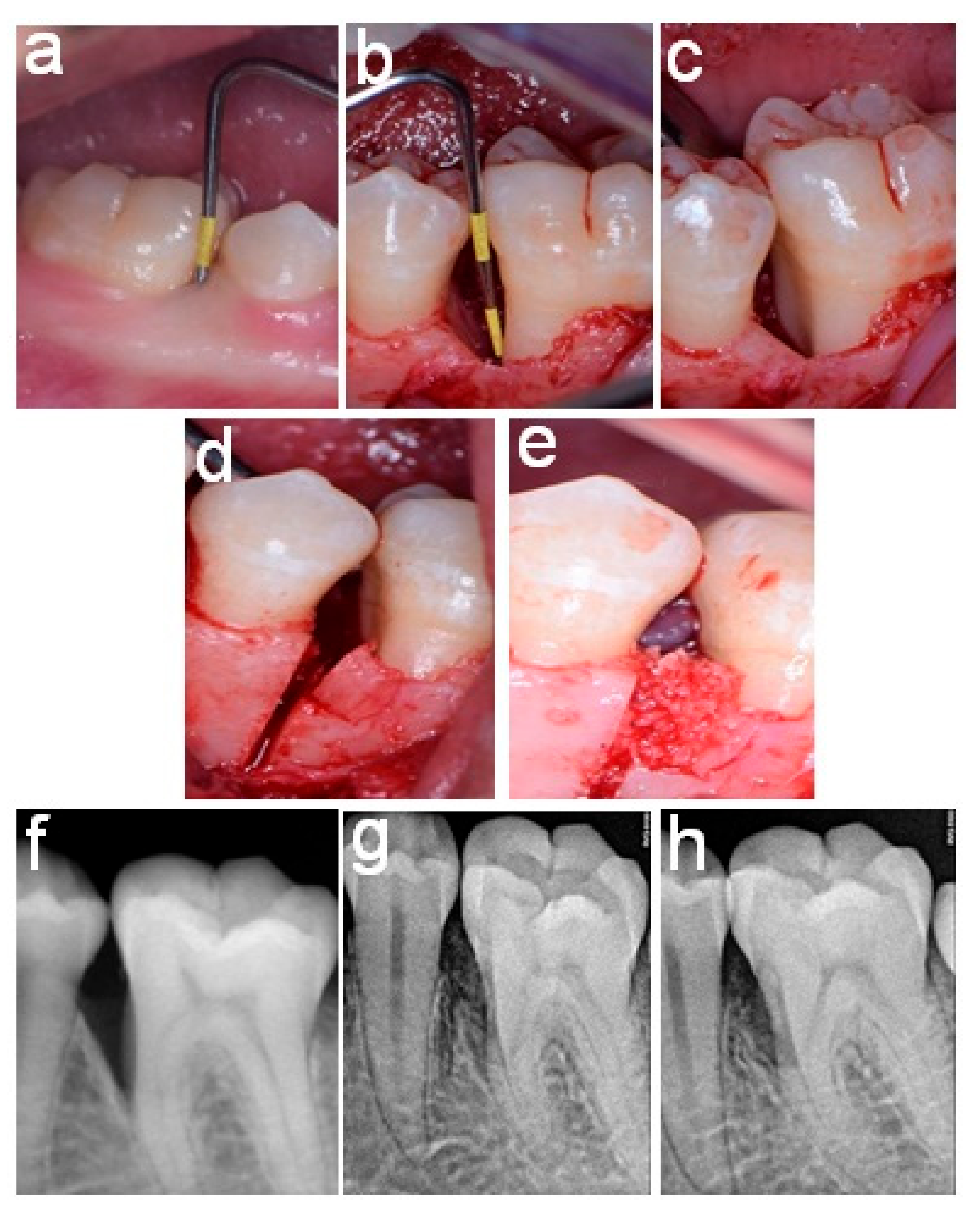 Healthcare 11 00791 g002 Healthcare 11 00791 g002