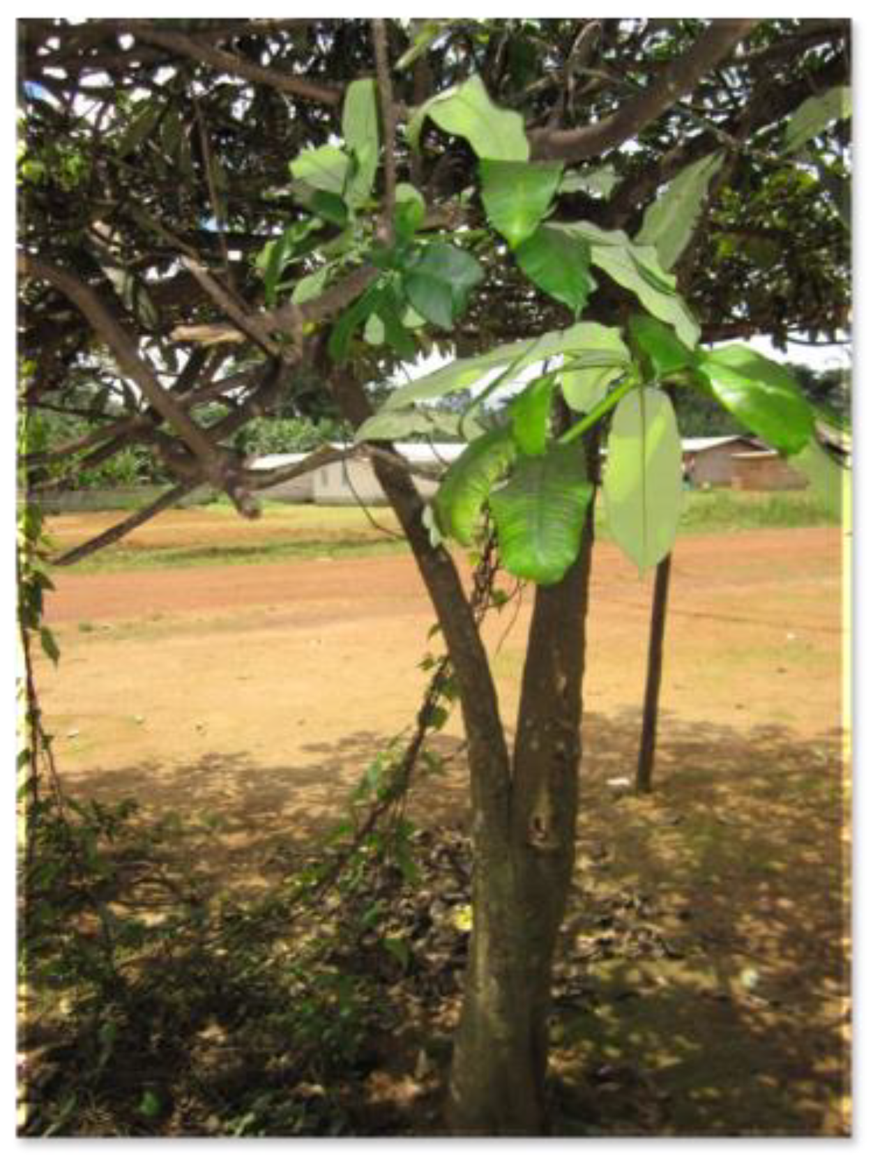 Healthcare 11 00808 g001 Healthcare 11 00808 g001