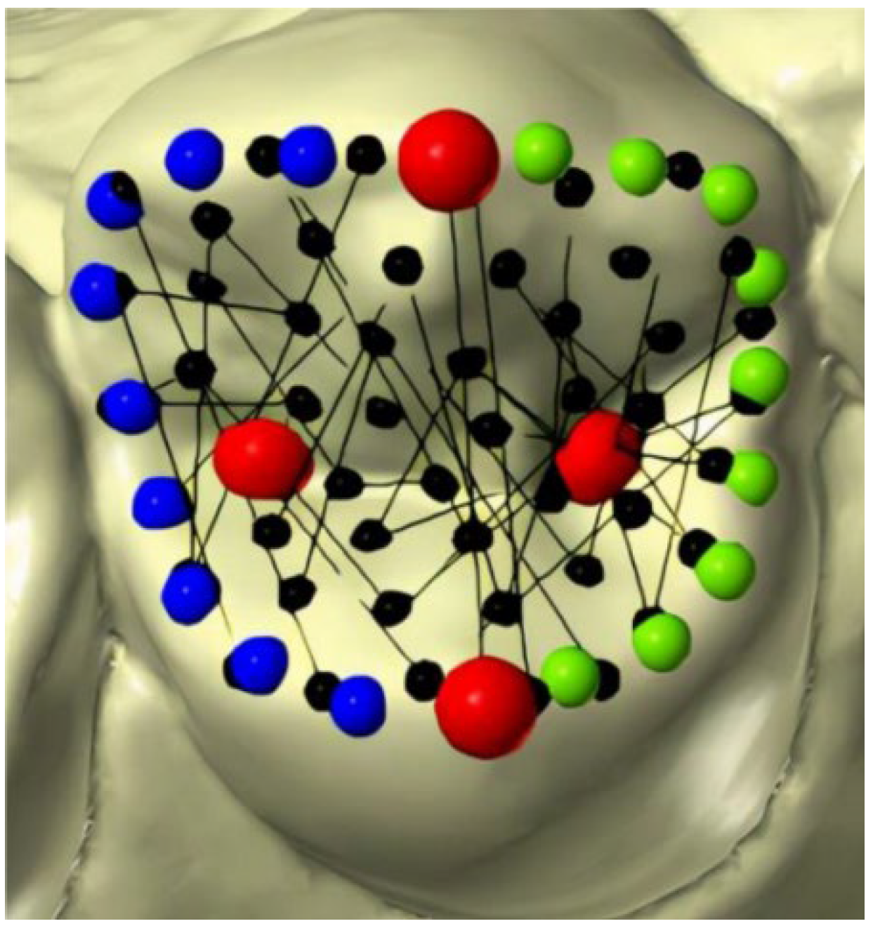 Healthcare 11 00845 g001