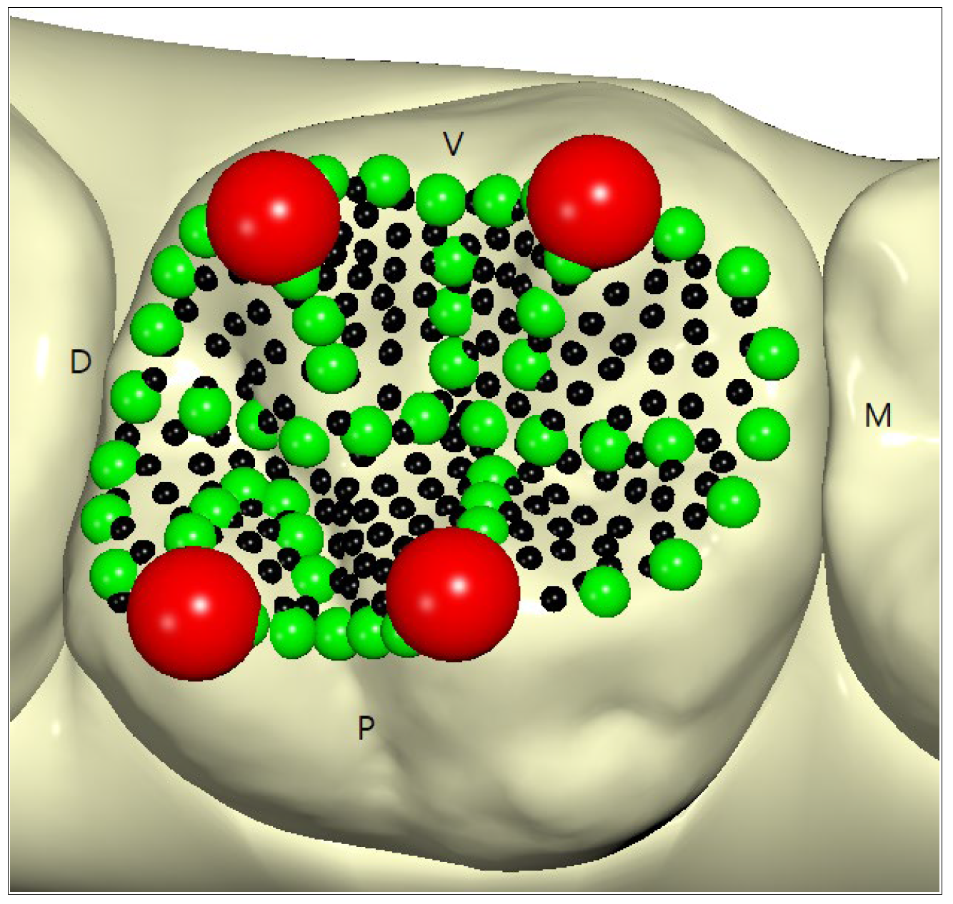 Healthcare 11 00845 g002