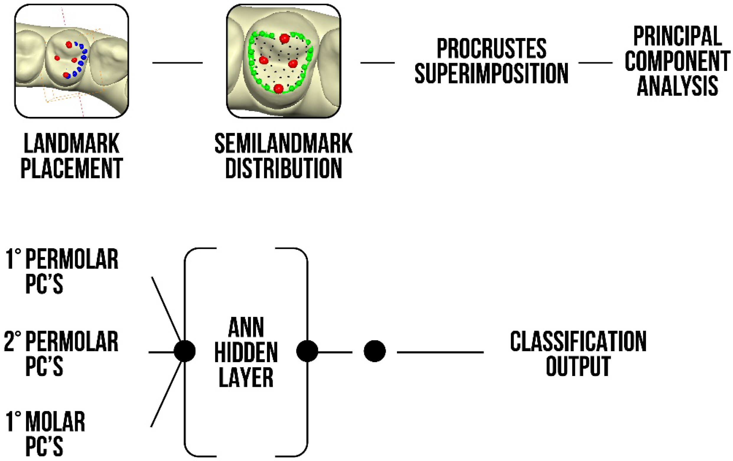 Healthcare 11 00845 g003