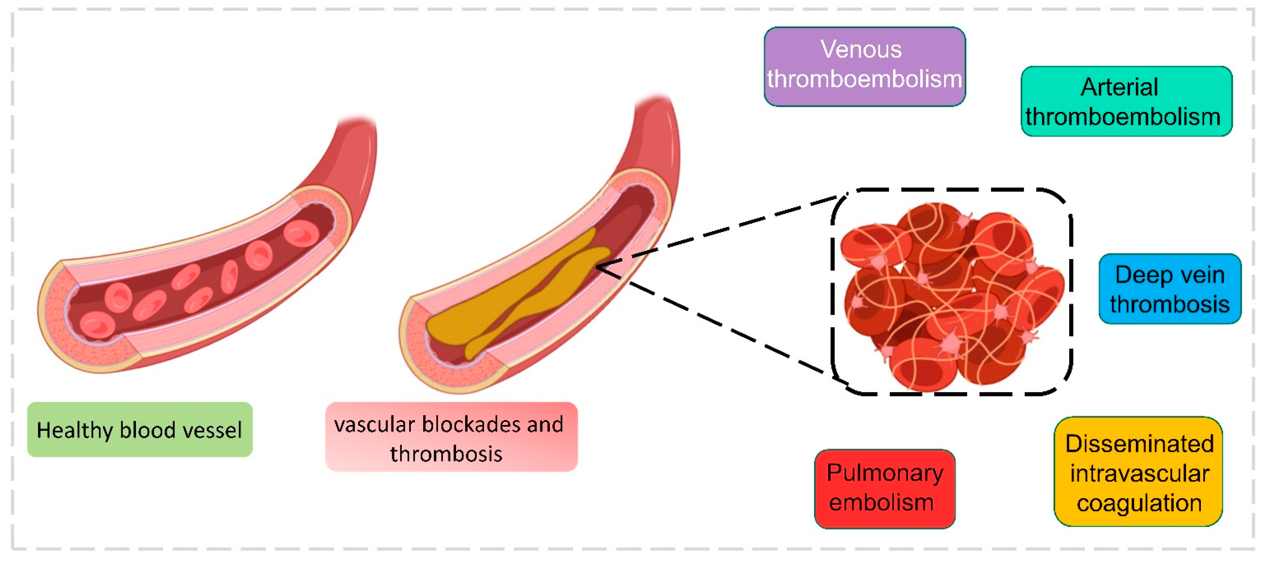 Healthcare 11 00854 g007 Healthcare 11 00854 g007