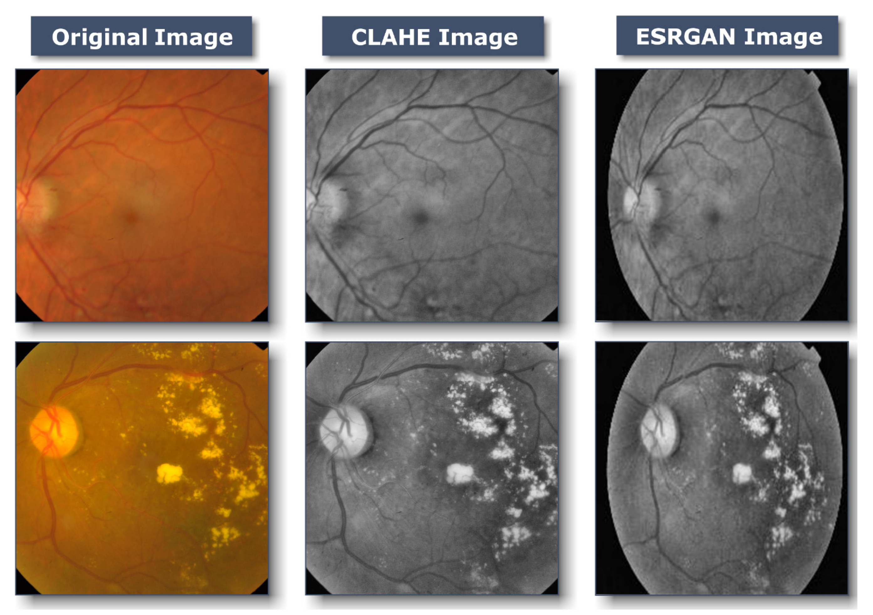 Healthcare 11 00863 g003