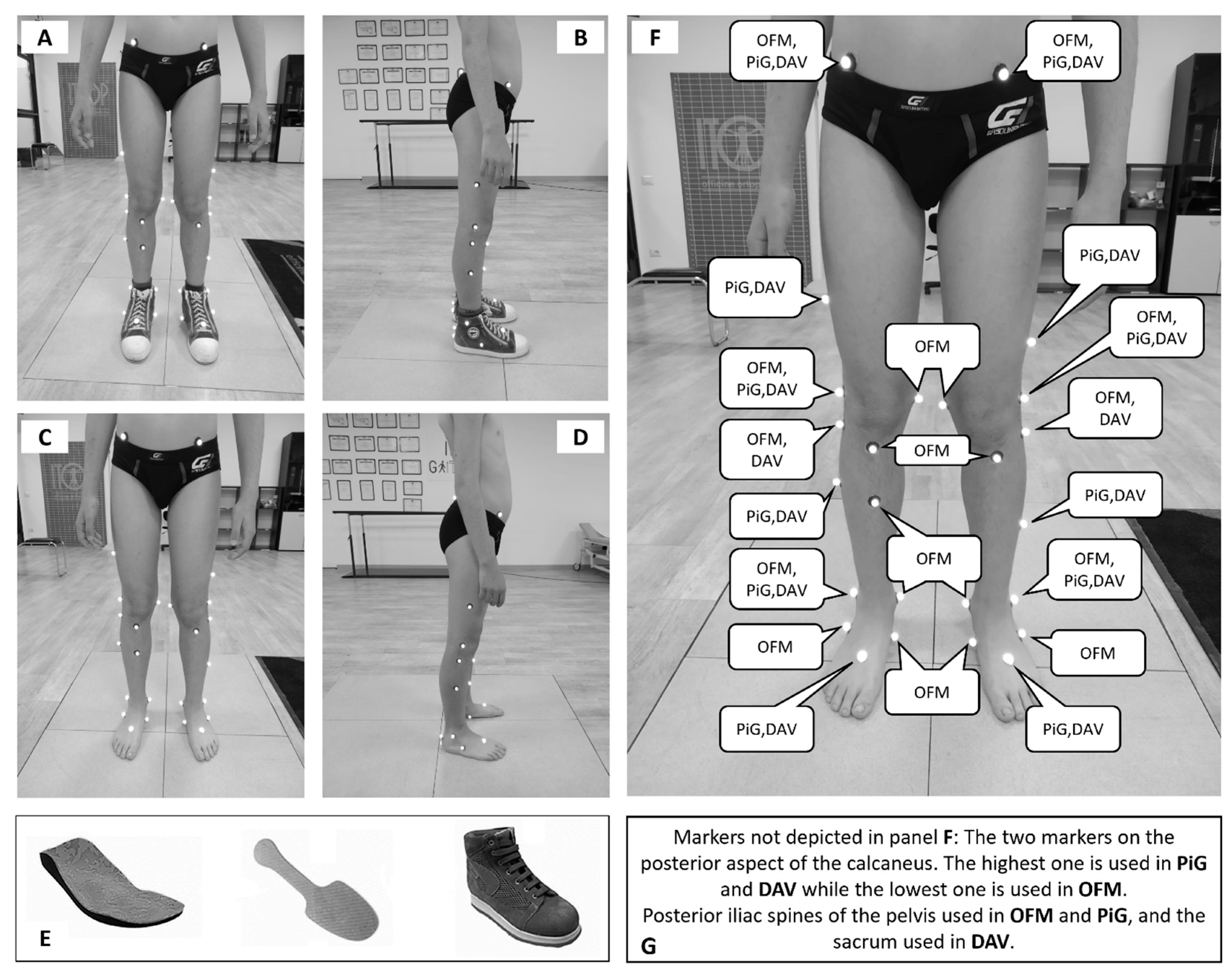 Healthcare Free FullText Ankle Kinematics Characterization in