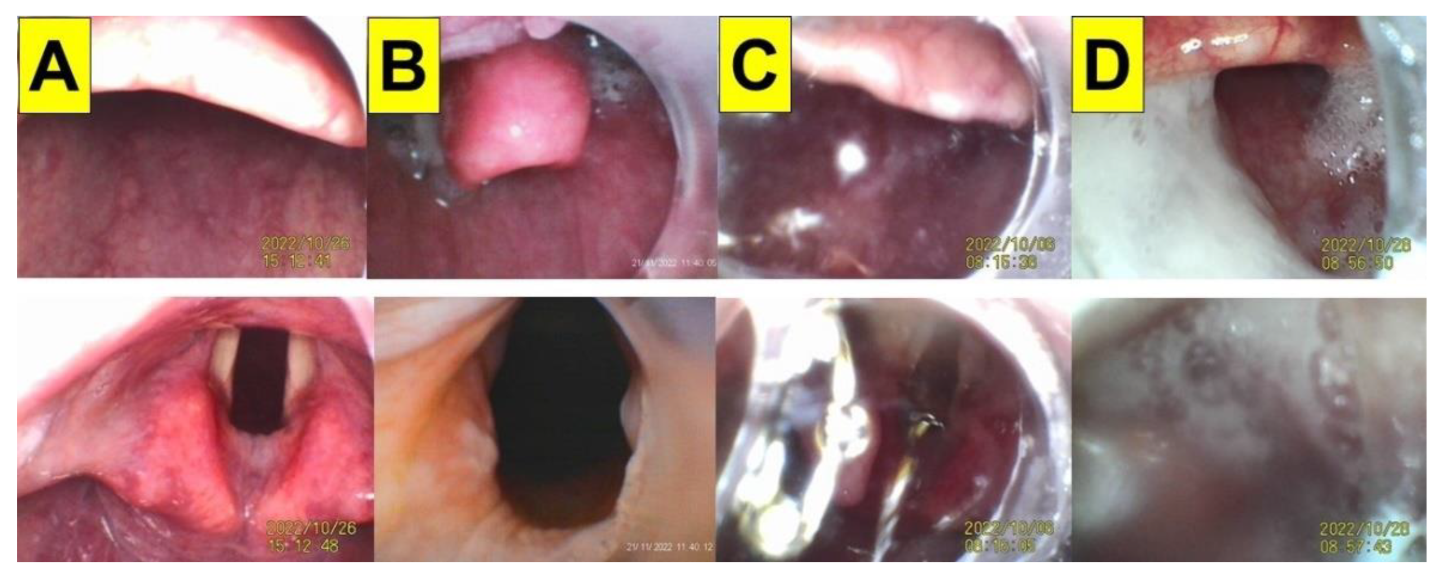 Healthcare 11 00891 g001