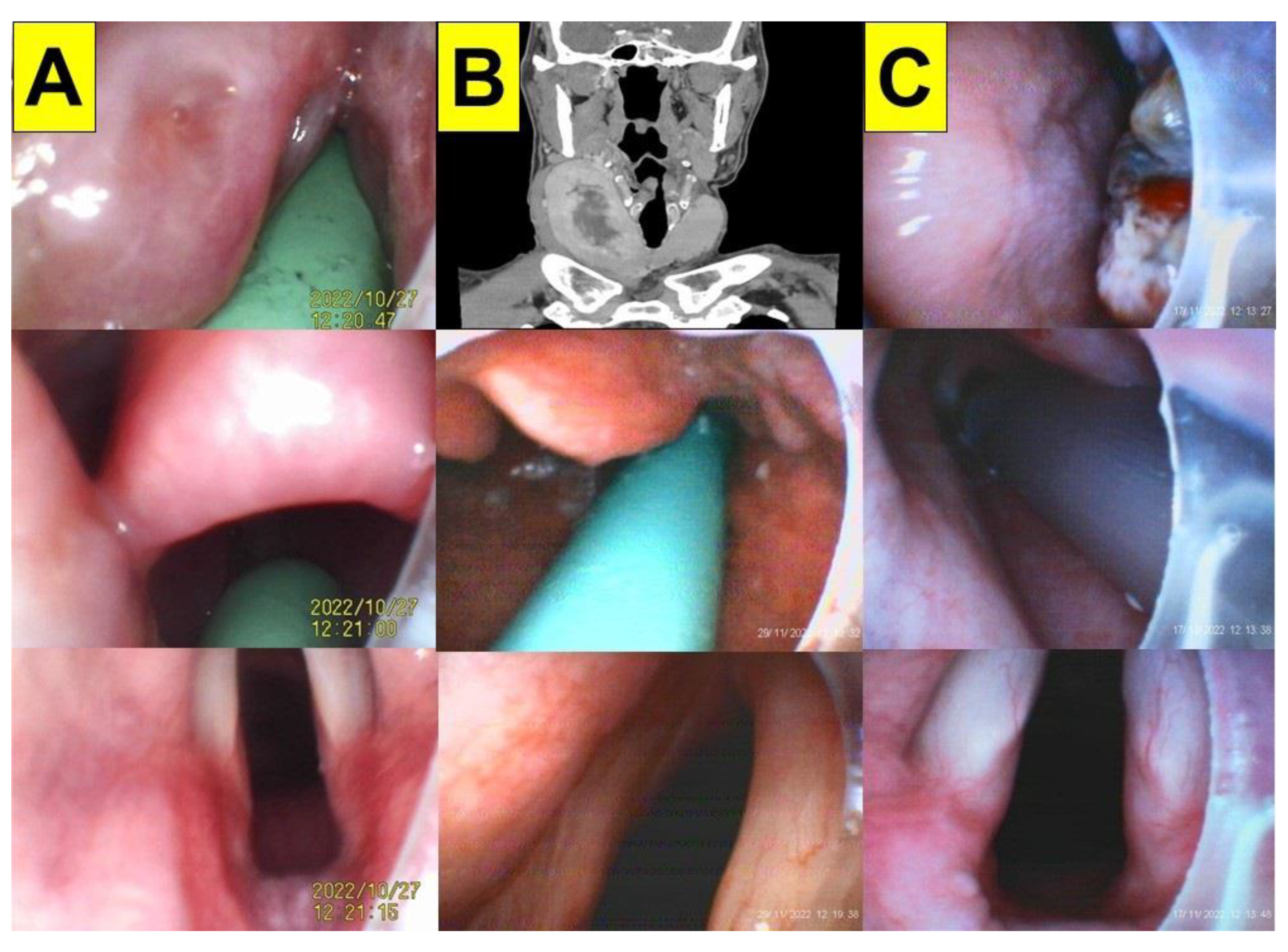Healthcare 11 00891 g004