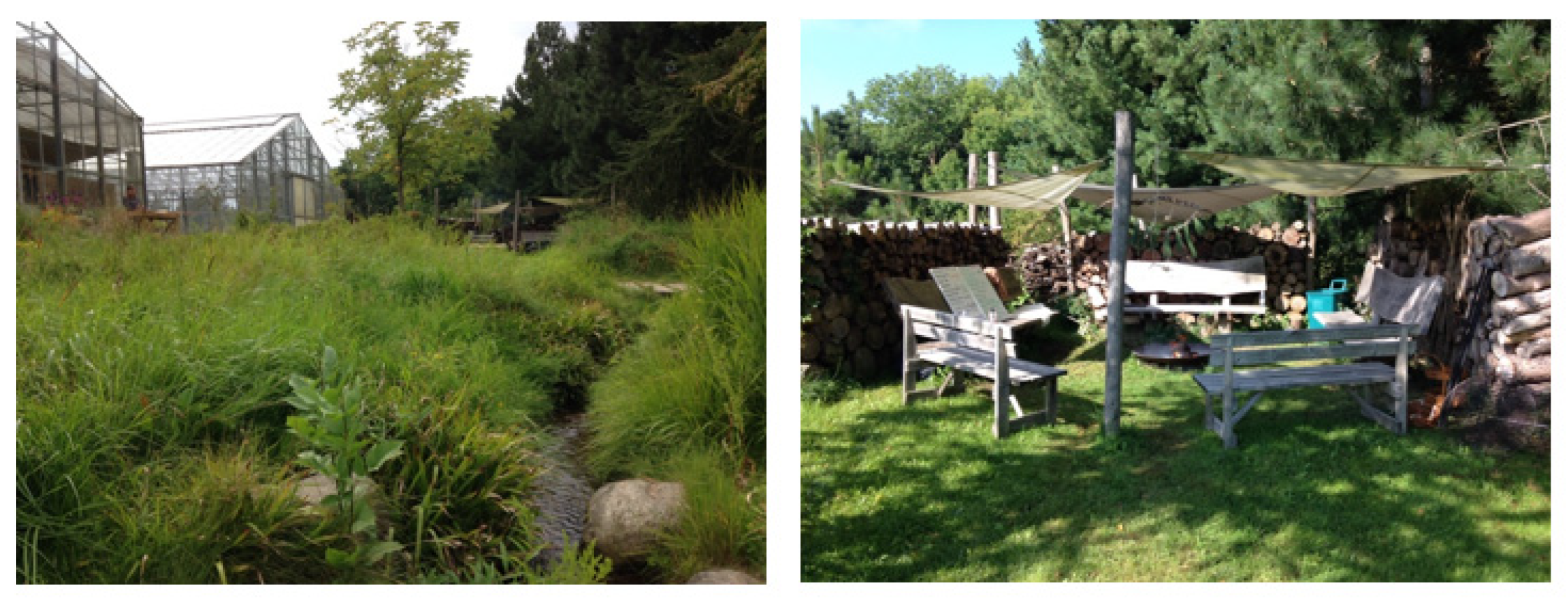 Healthcare 11 00905 g001