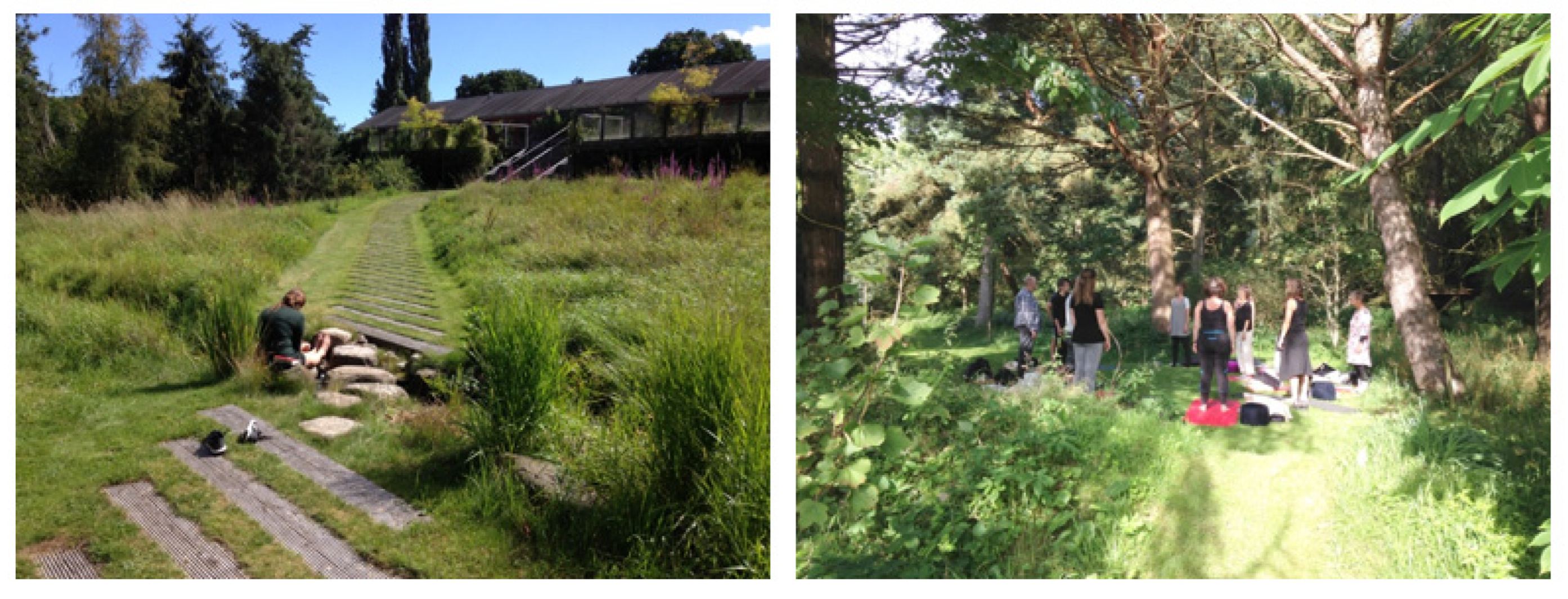 Healthcare 11 00905 g002