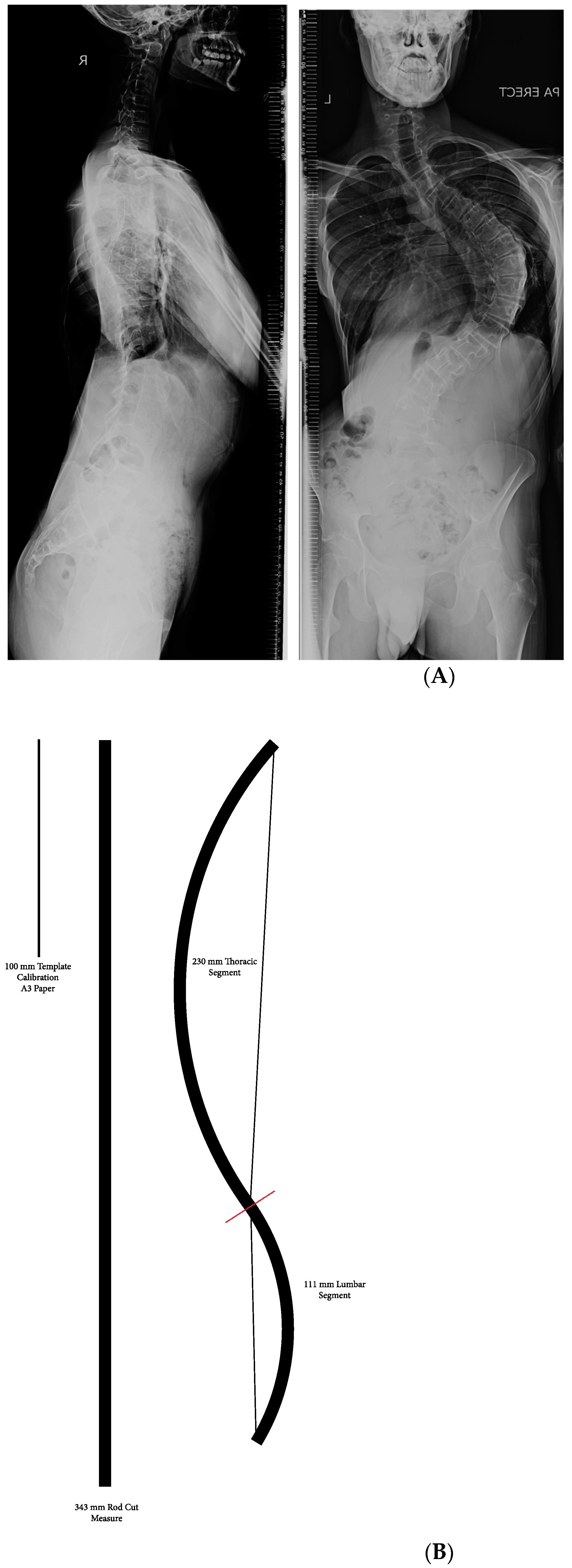 Healthcare 11 00980 g006a