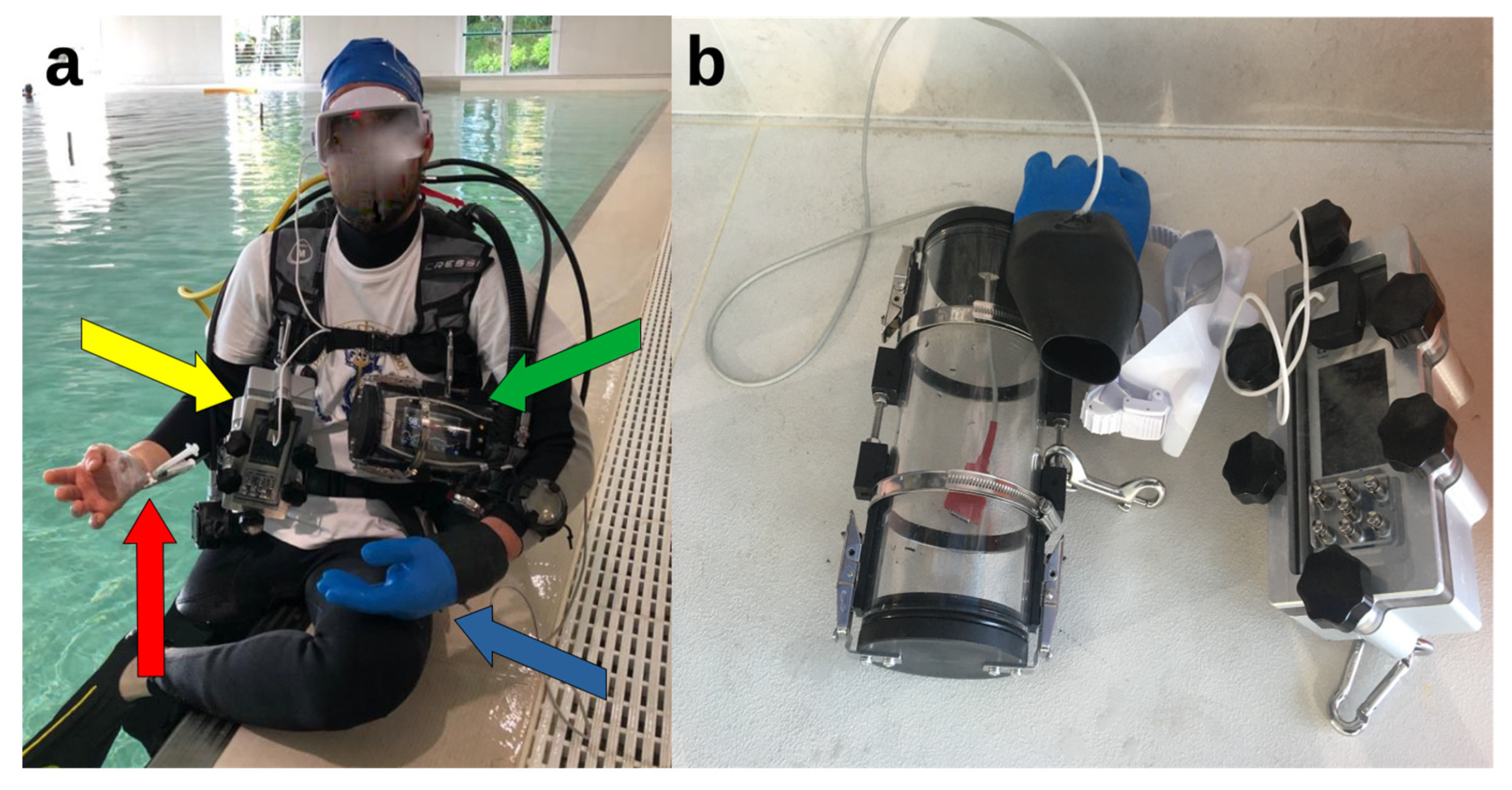 Healthcare 11 01102 g001 Healthcare 11 01102 g001