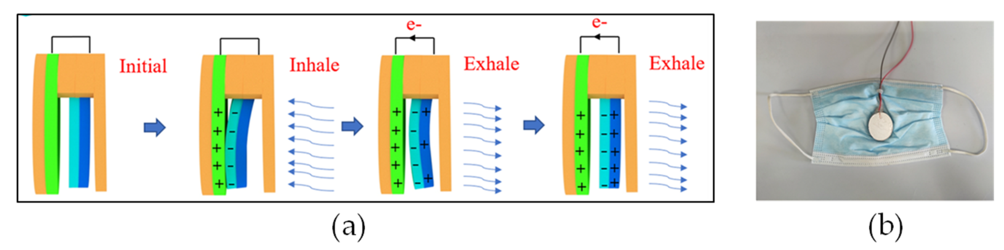 Healthcare 11 01115 g004