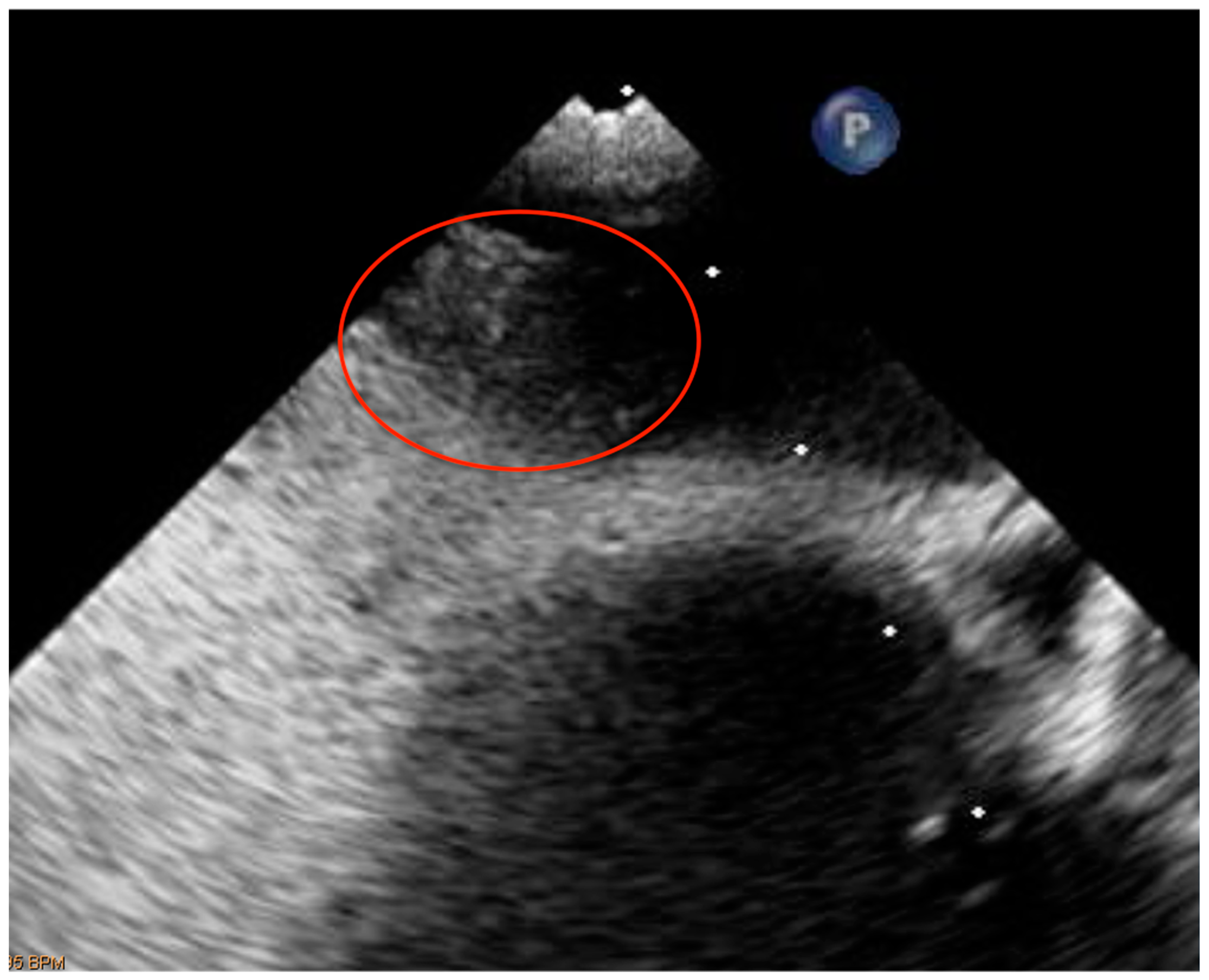 Healthcare 11 01165 g003 Healthcare 11 01165 g003