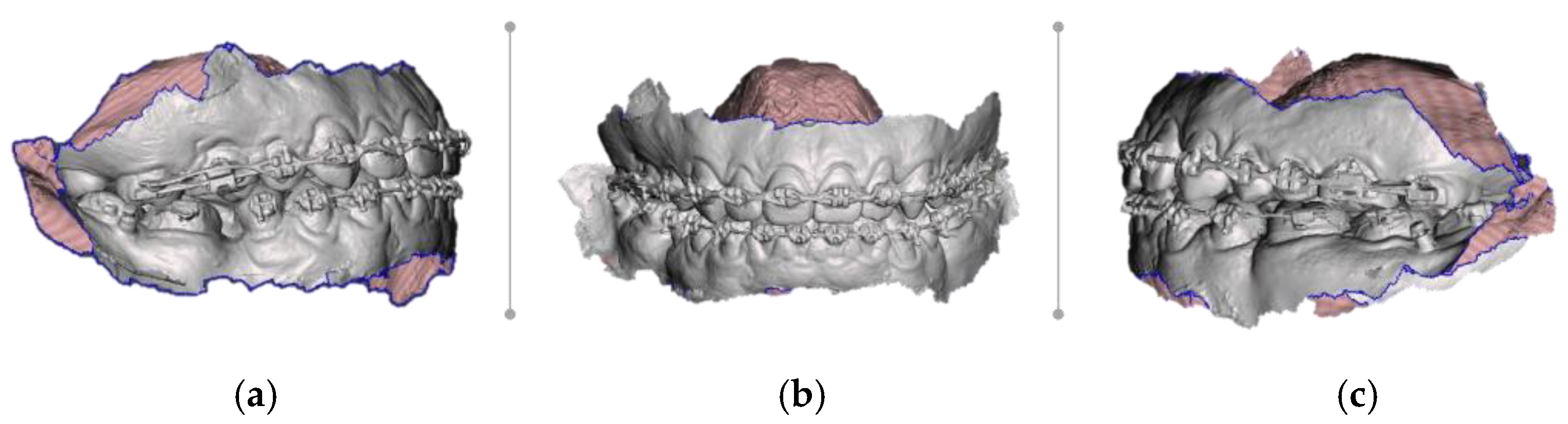 Healthcare 11 01219 g001