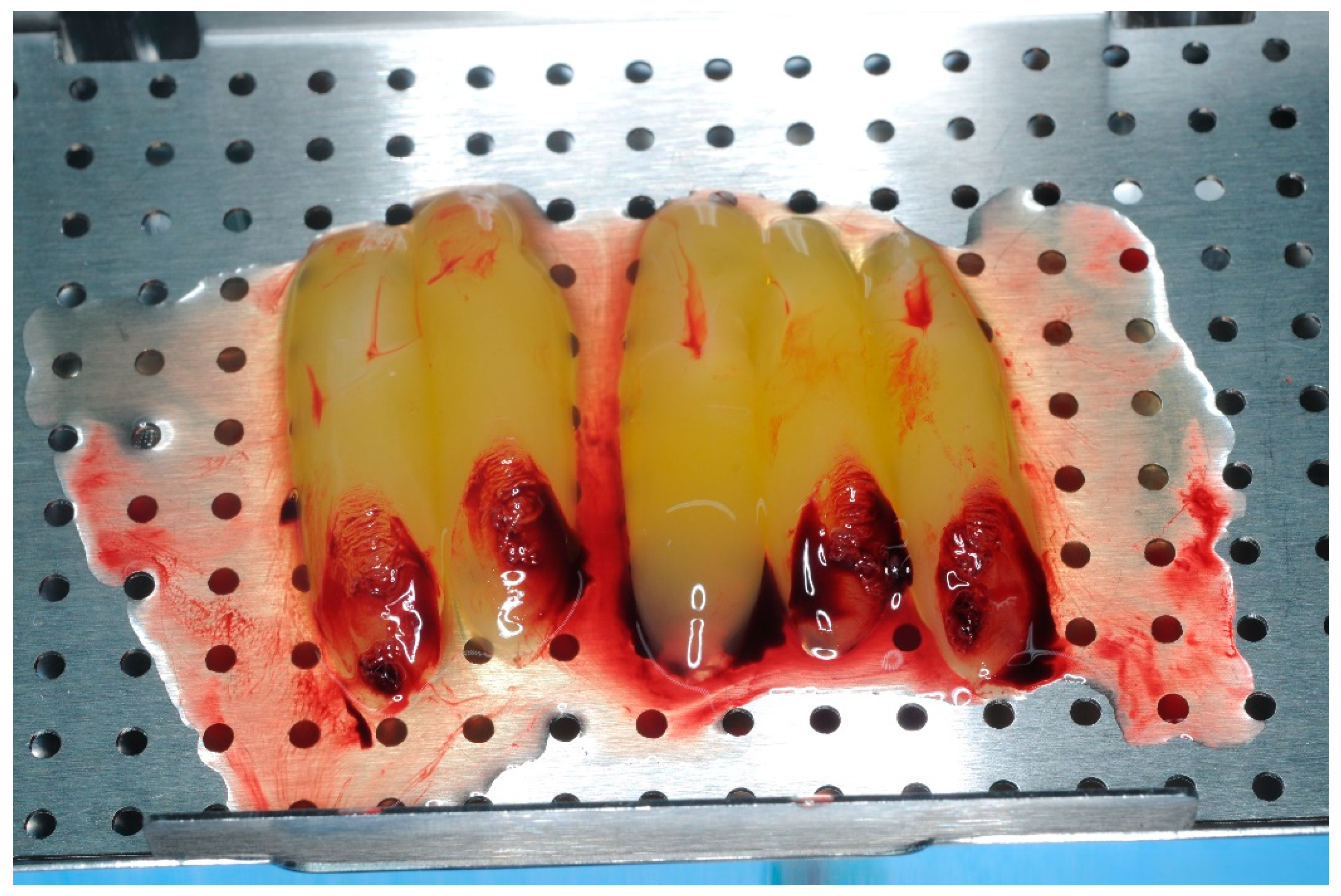 Healthcare 11 01301 g006 Healthcare 11 01301 g006