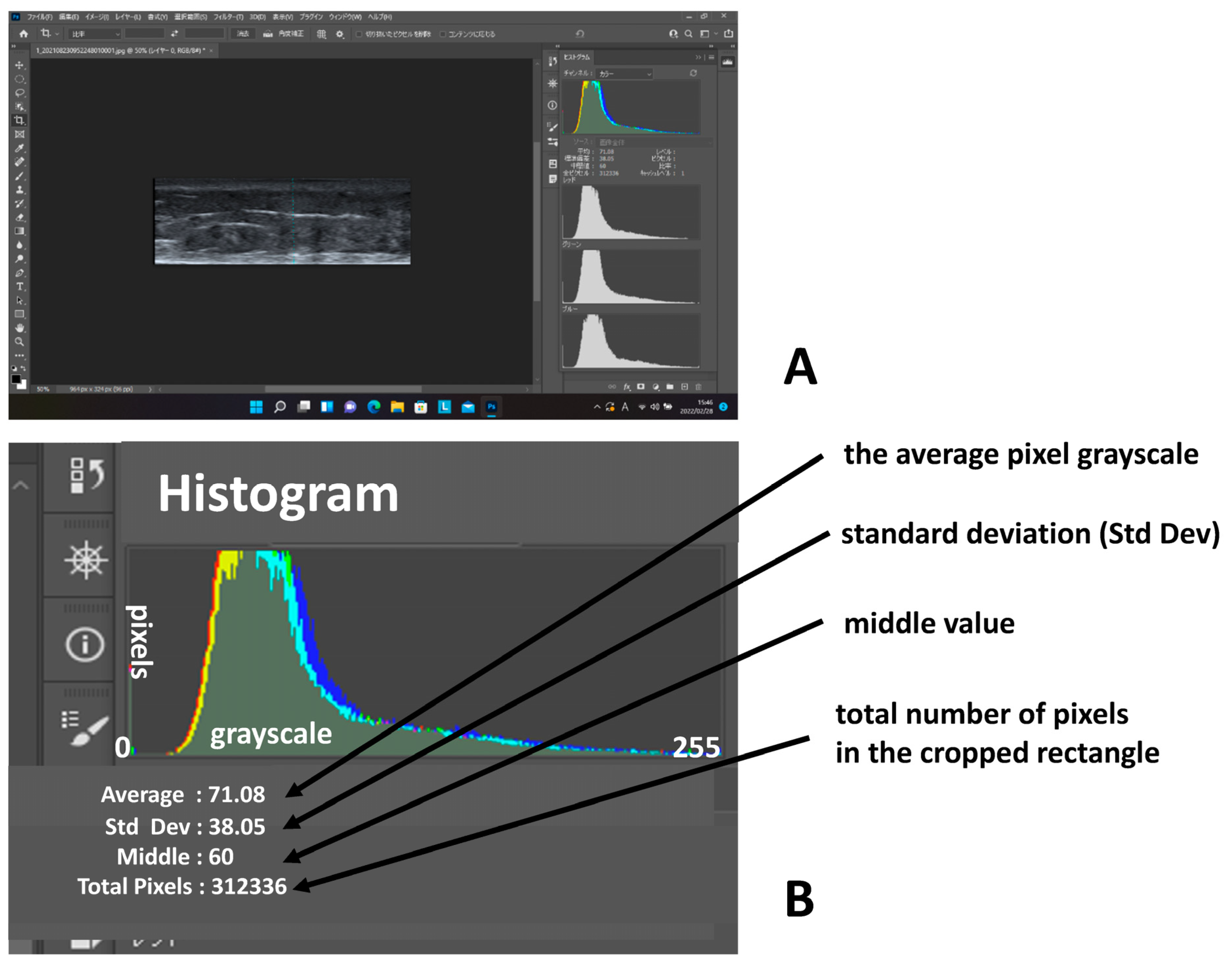 Healthcare 11 01328 g002 Healthcare 11 01328 g002