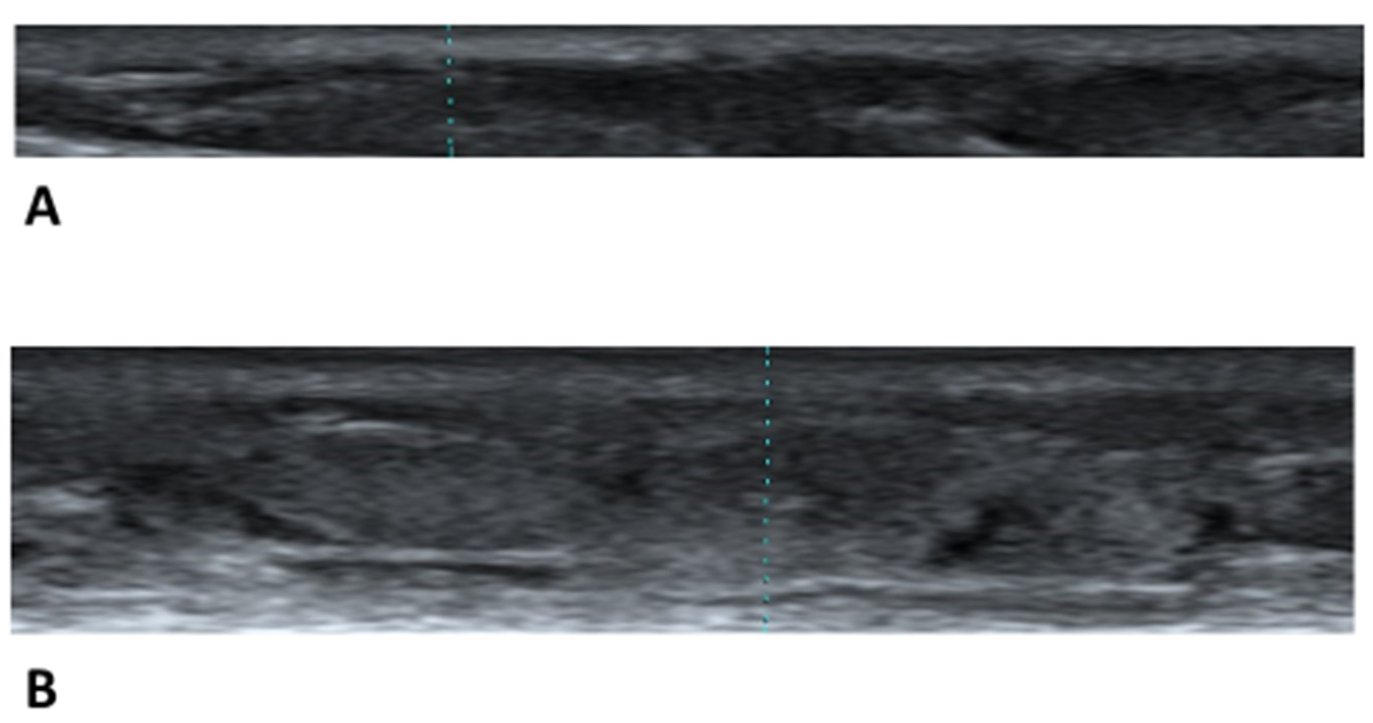 Healthcare 11 01328 g005 Healthcare 11 01328 g005