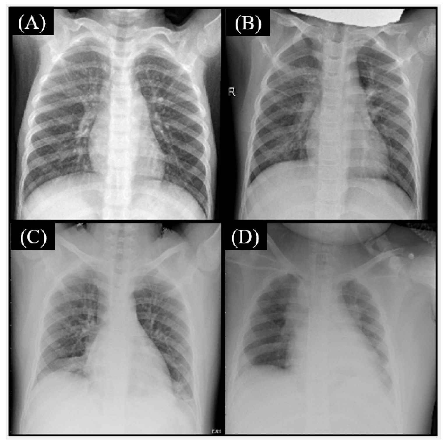 Healthcare 11 01367 g004 Healthcare 11 01367 g004