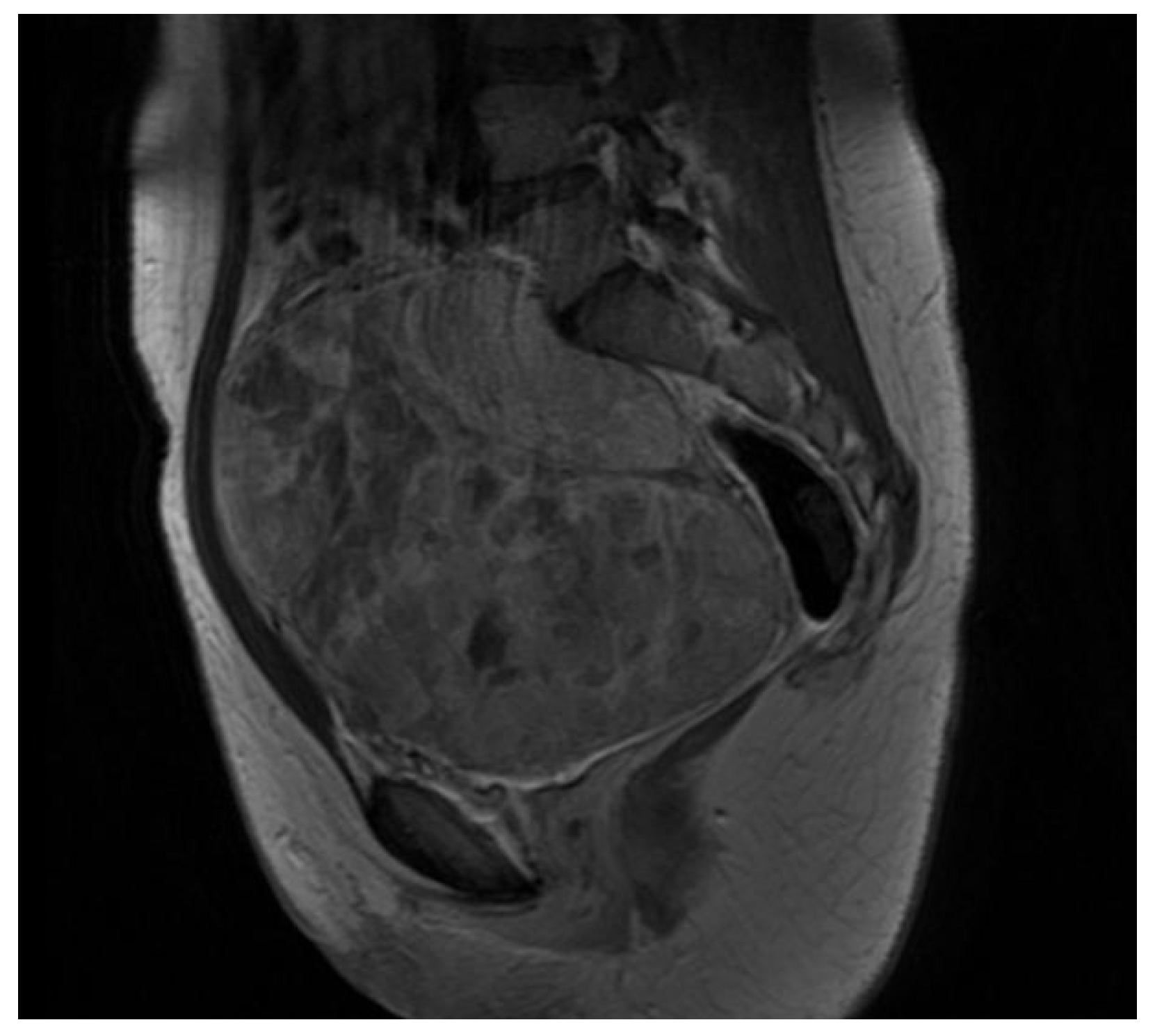 Healthcare 11 01373 g001 Healthcare 11 01373 g001