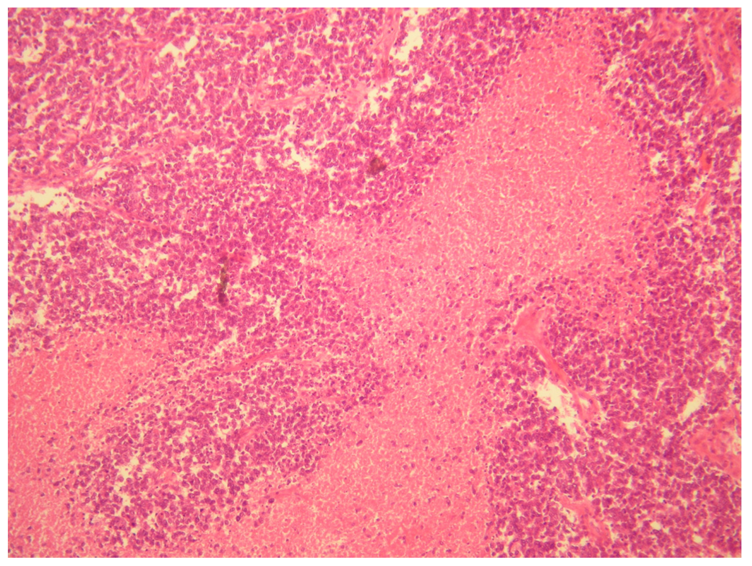 Healthcare 11 01373 g004 Healthcare 11 01373 g004