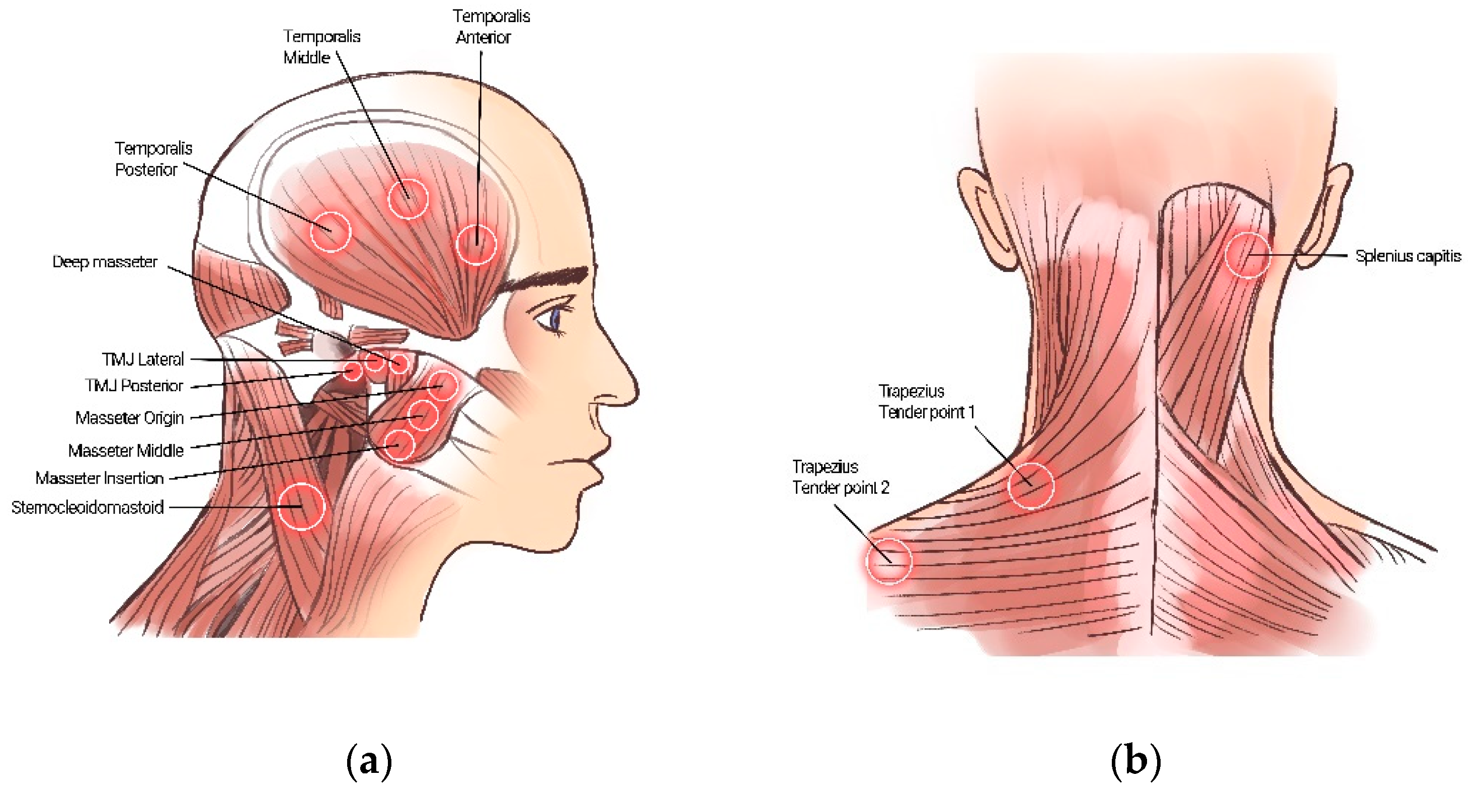 Healthcare 11 01443 g002 Healthcare 11 01443 g002