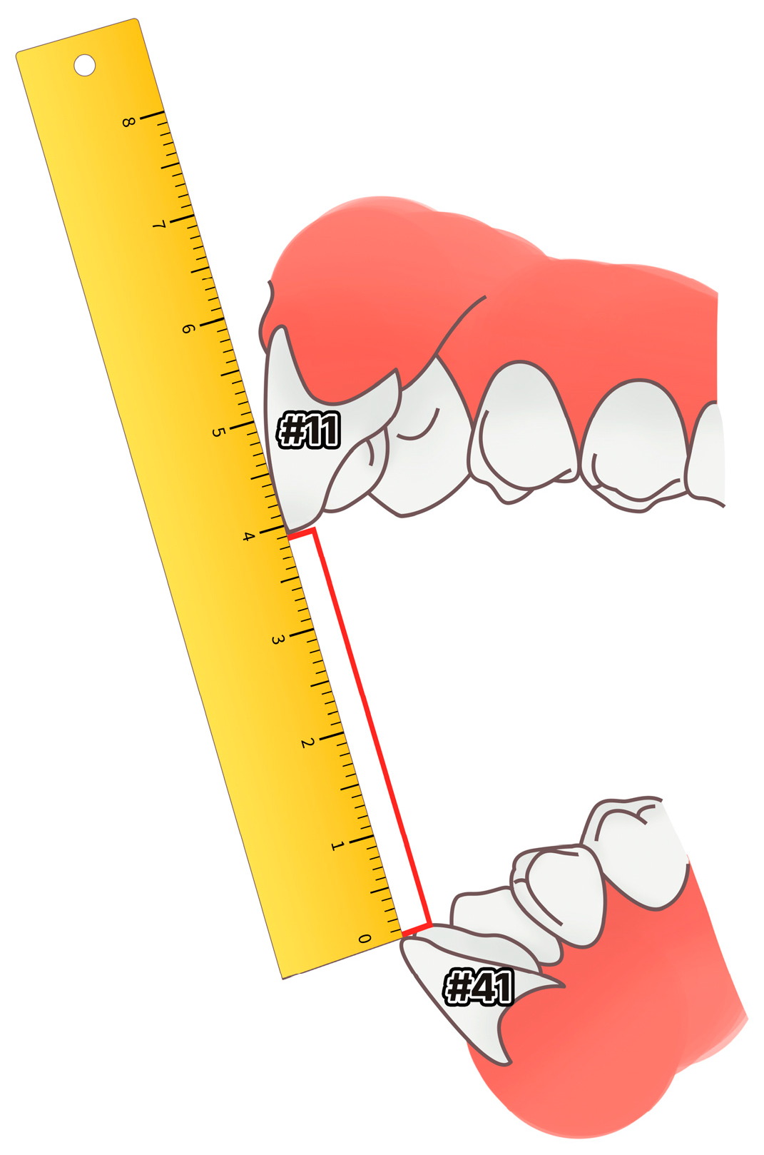 Healthcare 11 01443 g003 Healthcare 11 01443 g003