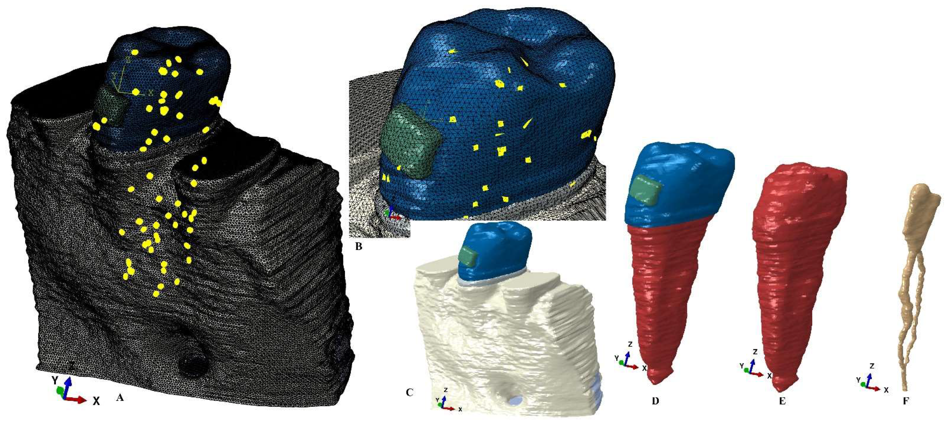 Healthcare 11 01447 g002