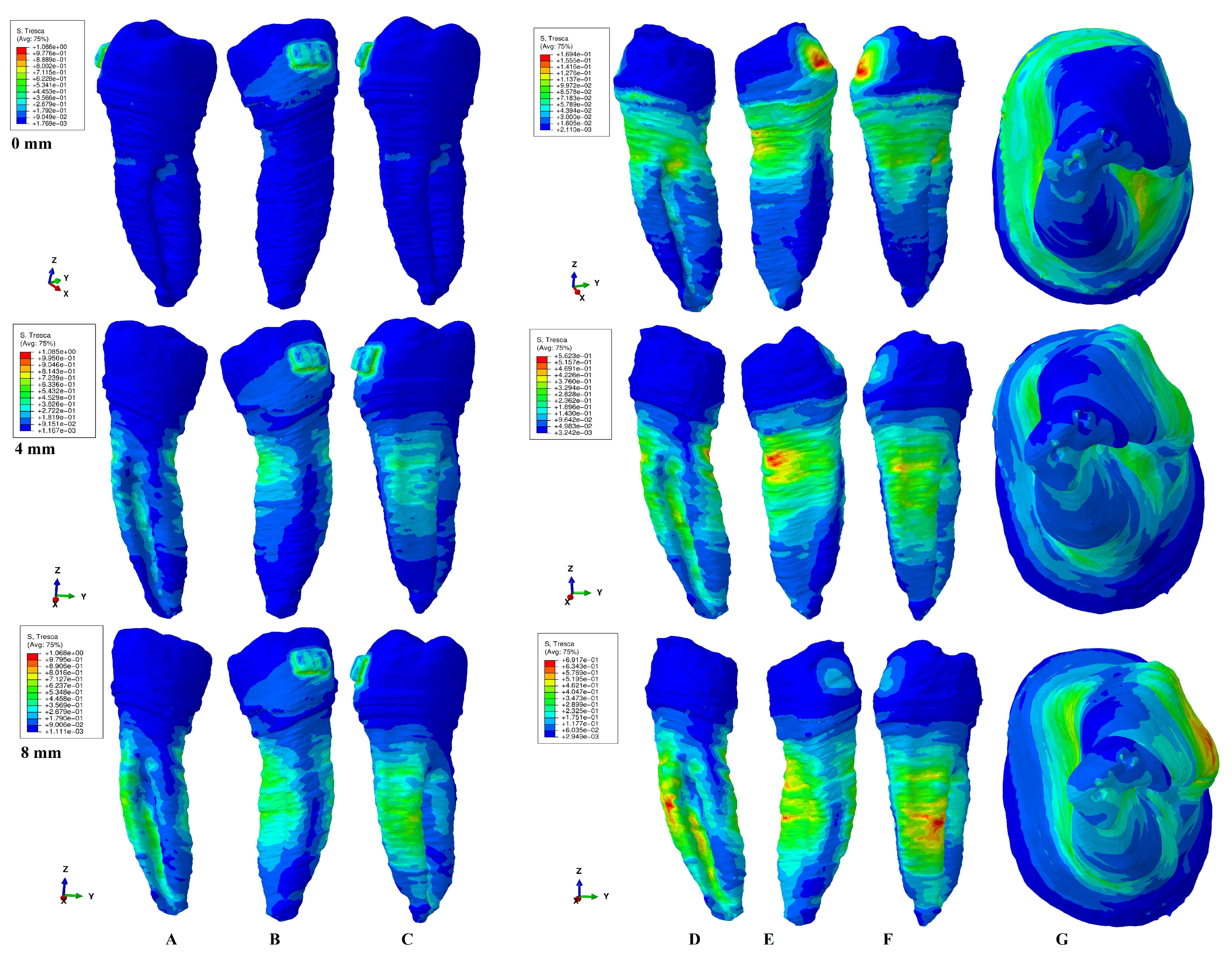 Healthcare 11 01447 g005