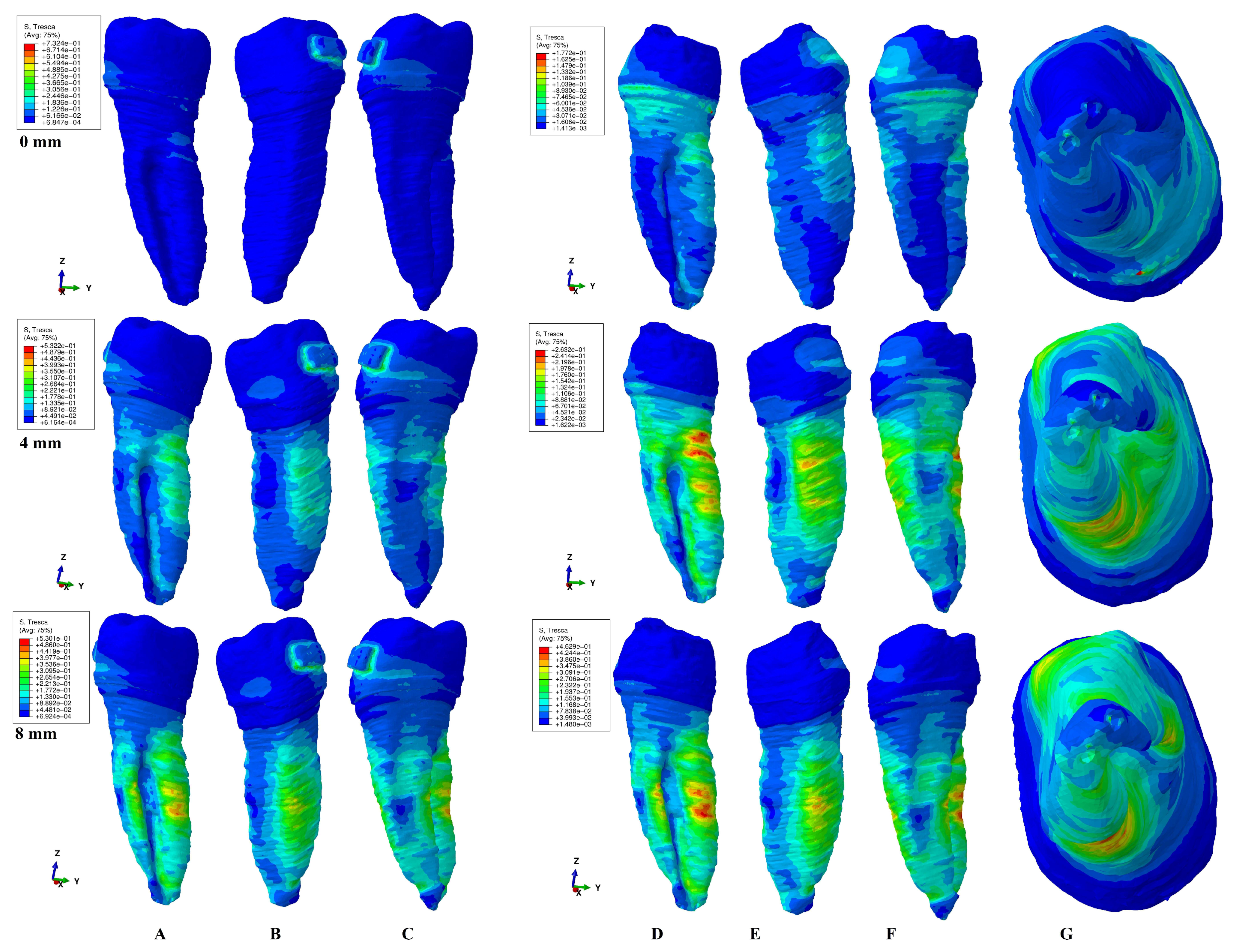 Healthcare 11 01447 g006