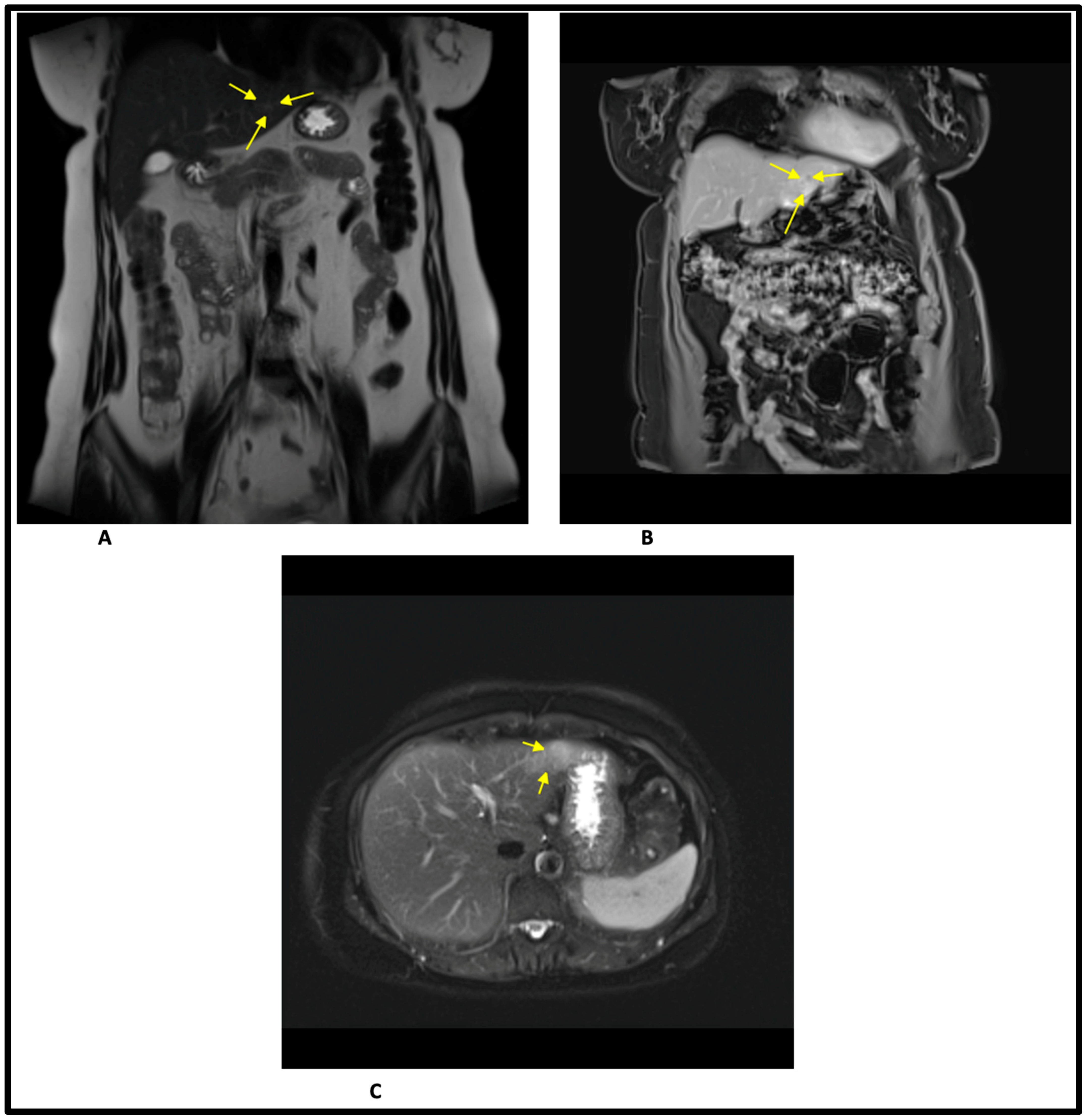 Healthcare 11 01451 g003 Healthcare 11 01451 g003