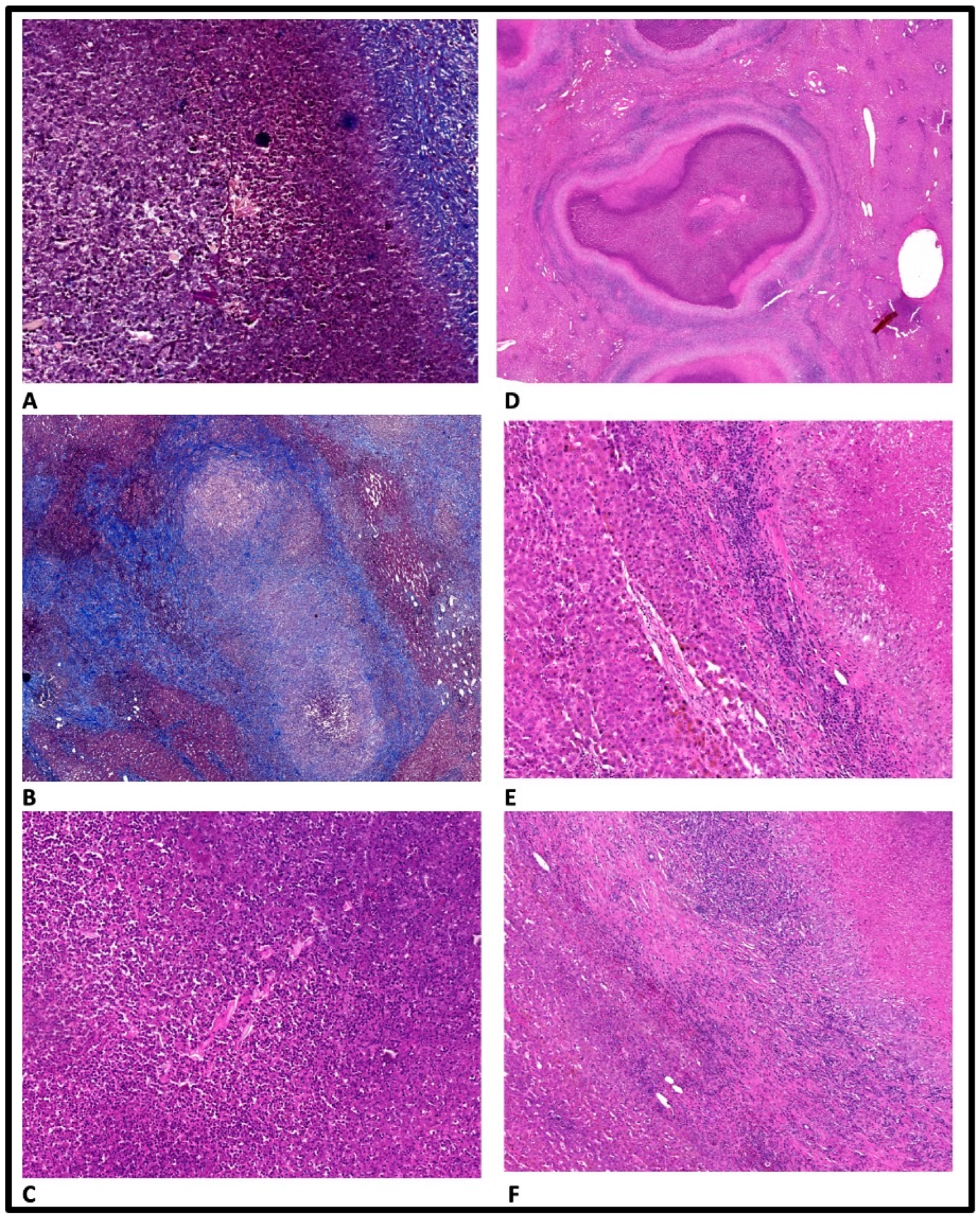 Healthcare 11 01451 g004 Healthcare 11 01451 g004