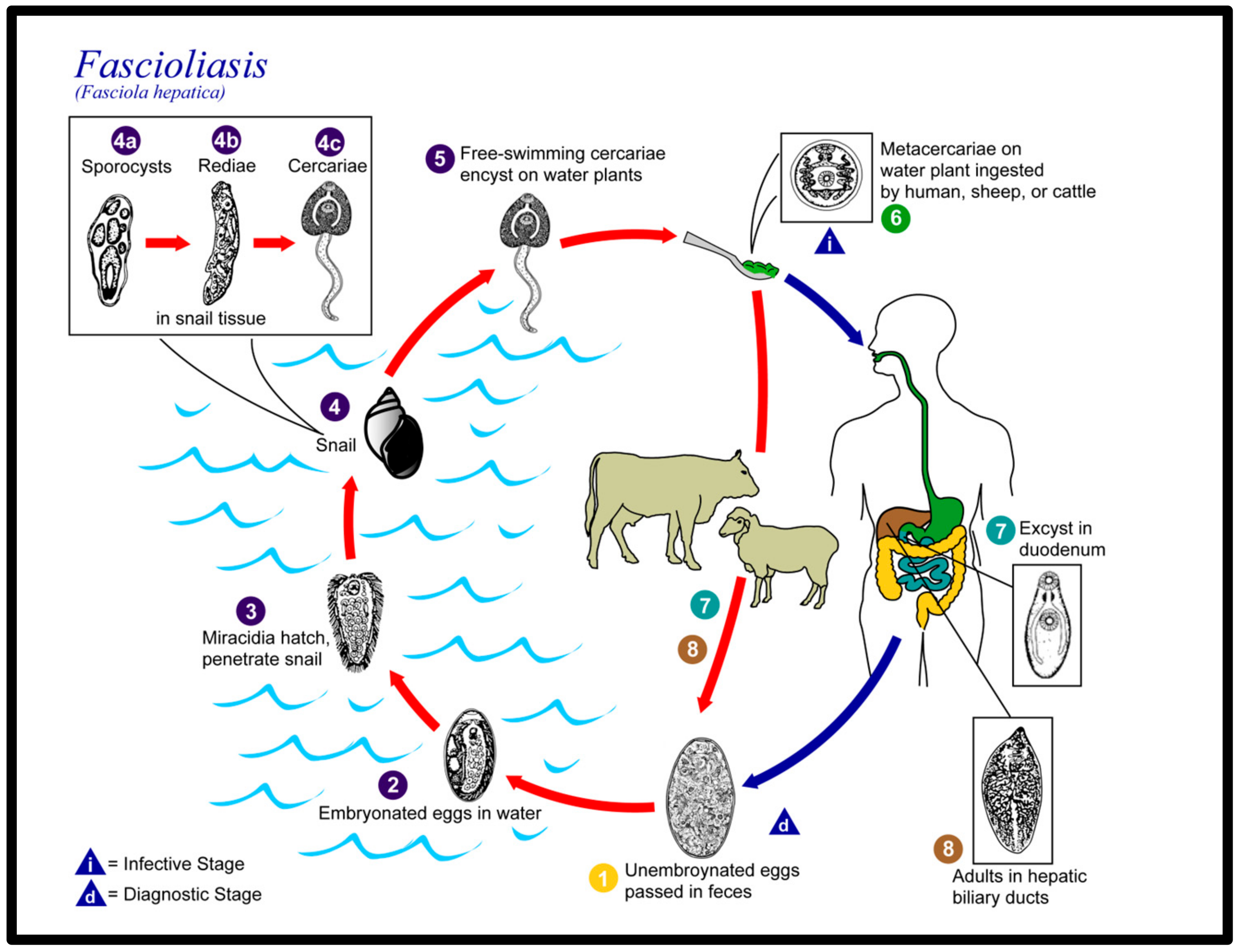 Healthcare 11 01451 g006 Healthcare 11 01451 g006