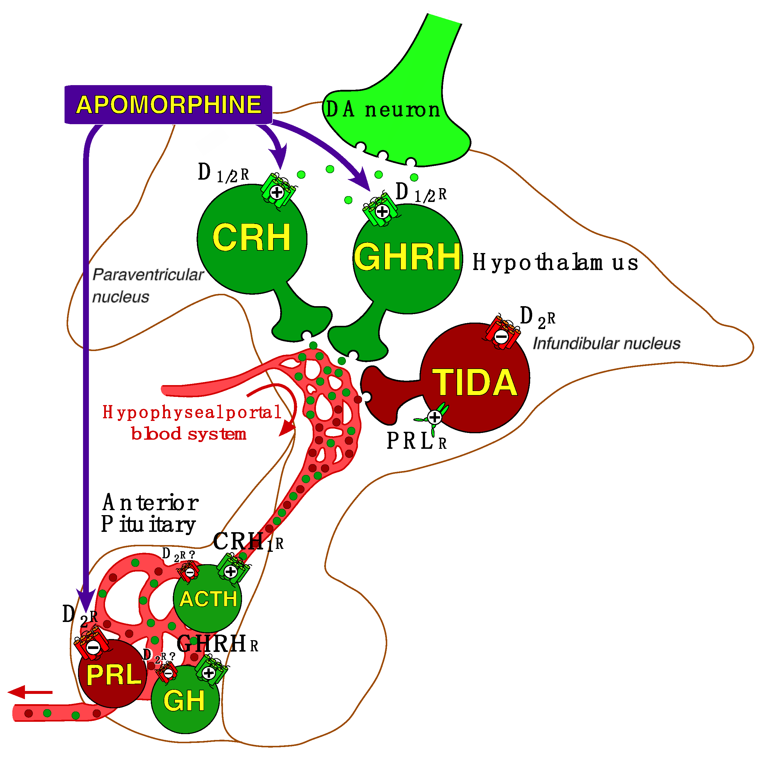 Healthcare 11 01487 g001 Healthcare 11 01487 g001