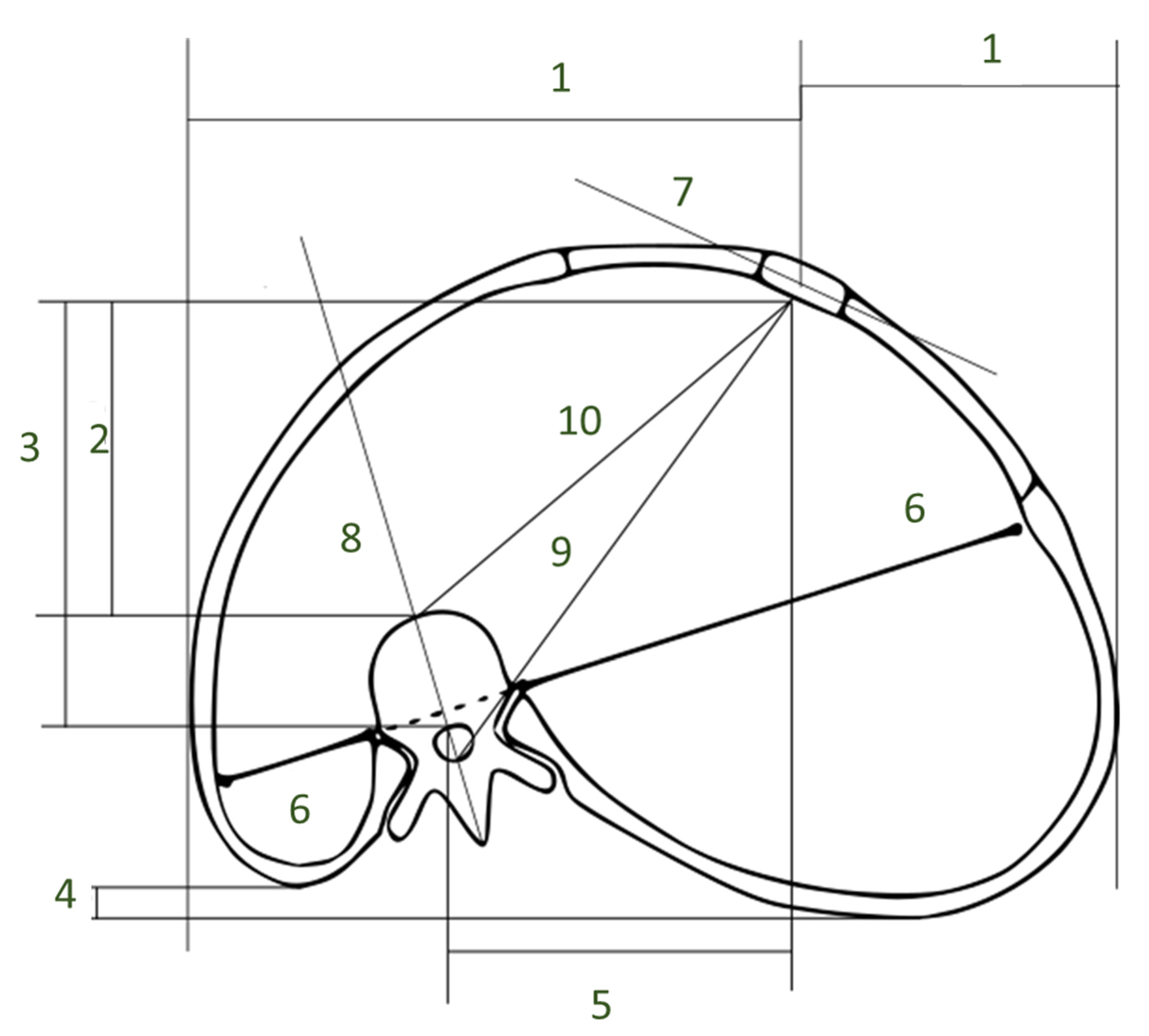 Healthcare 11 01489 g003 Healthcare 11 01489 g003
