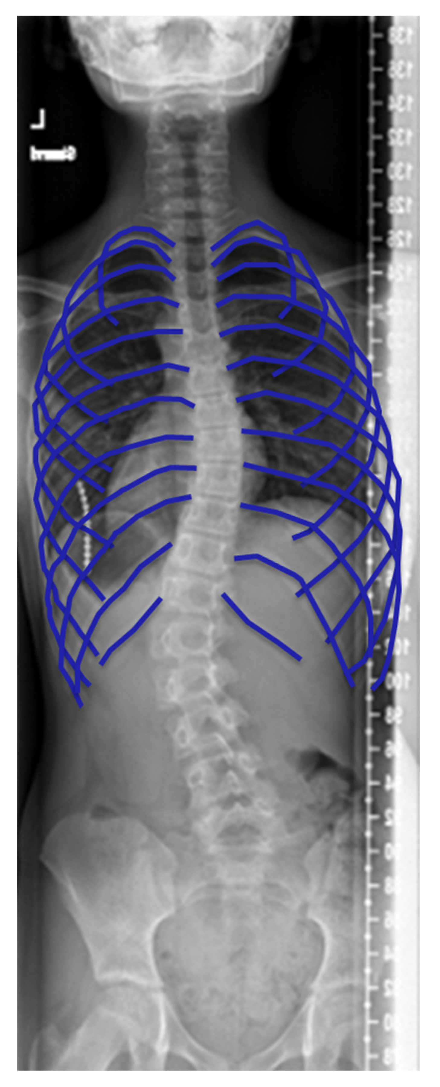 Healthcare 11 01489 g004 Healthcare 11 01489 g004