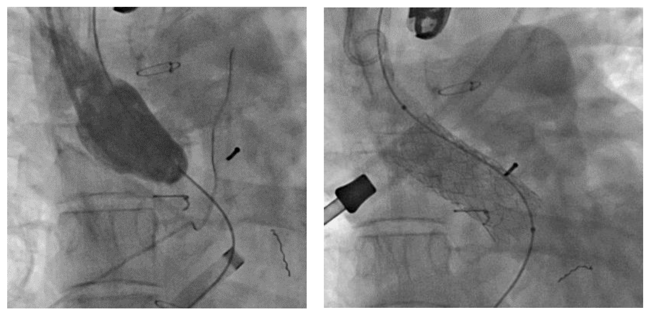 Healthcare 11 01592 g002