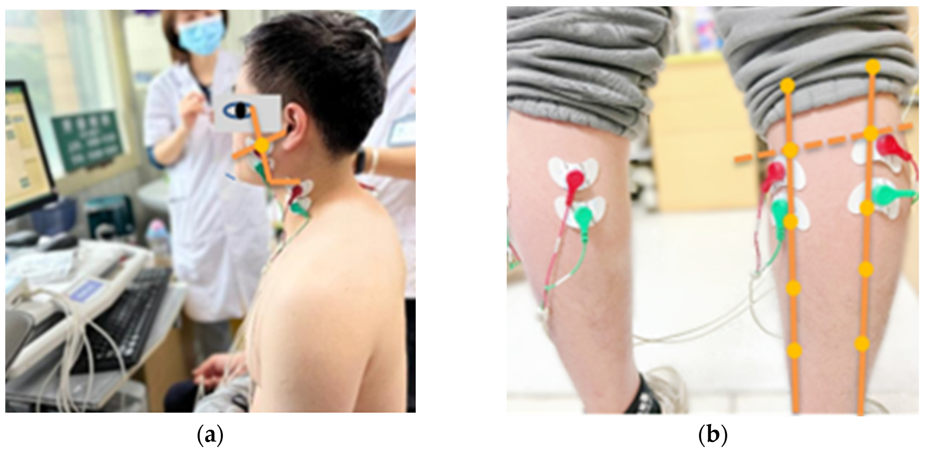 Healthcare 11 01718 g001 Healthcare 11 01718 g001