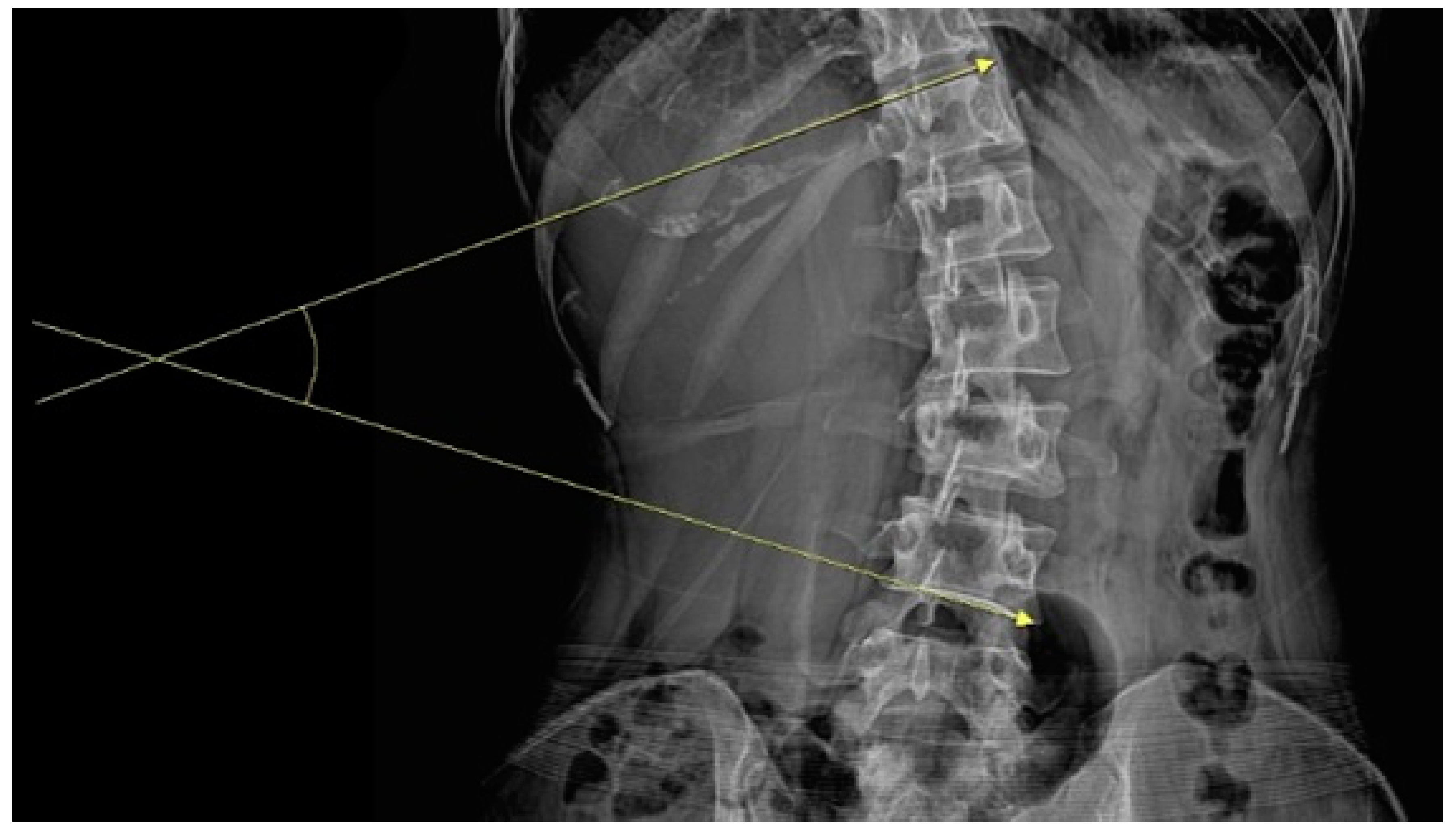 Healthcare 11 01735 g001 Healthcare 11 01735 g001