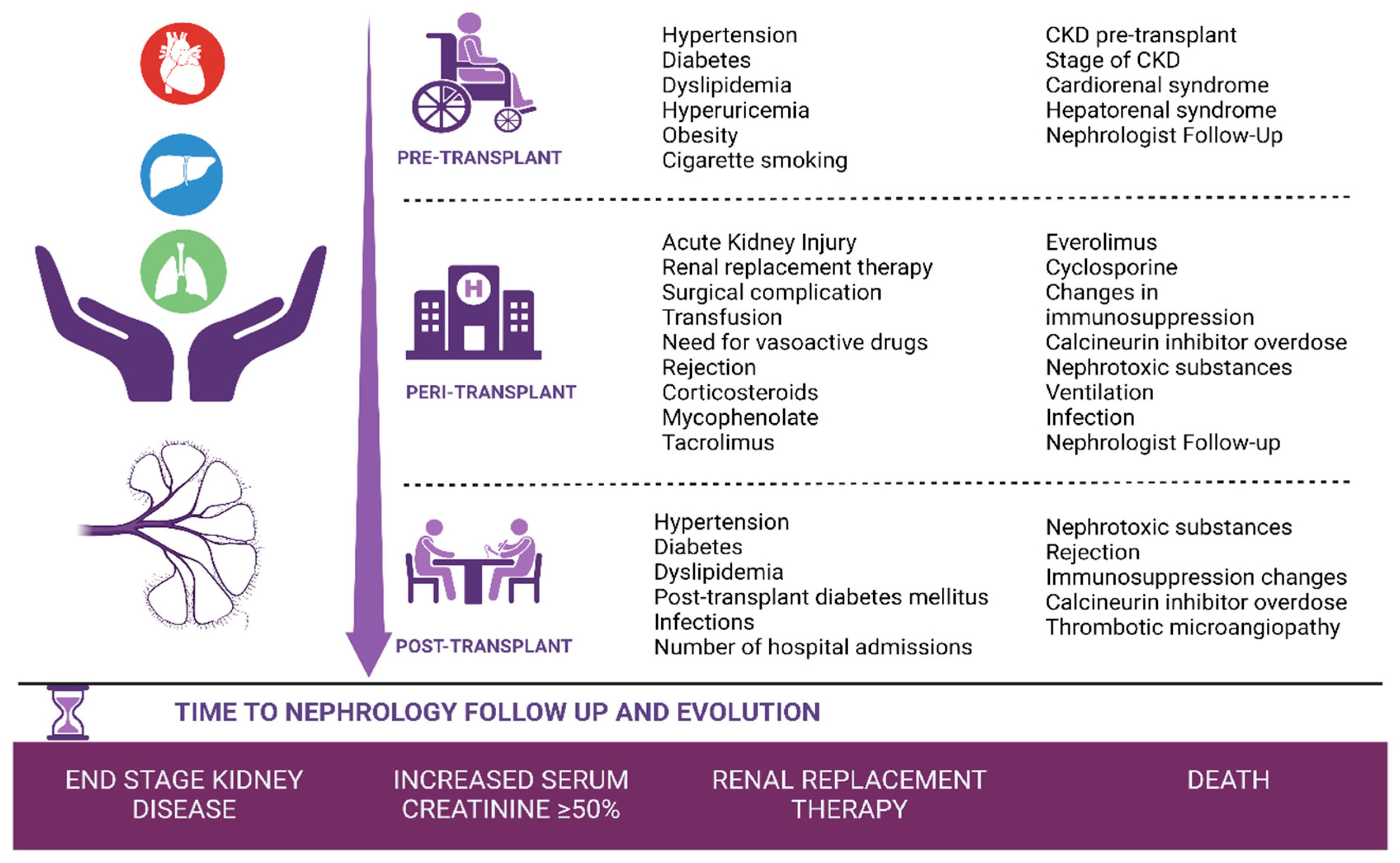 Healthcare 11 01760 g002