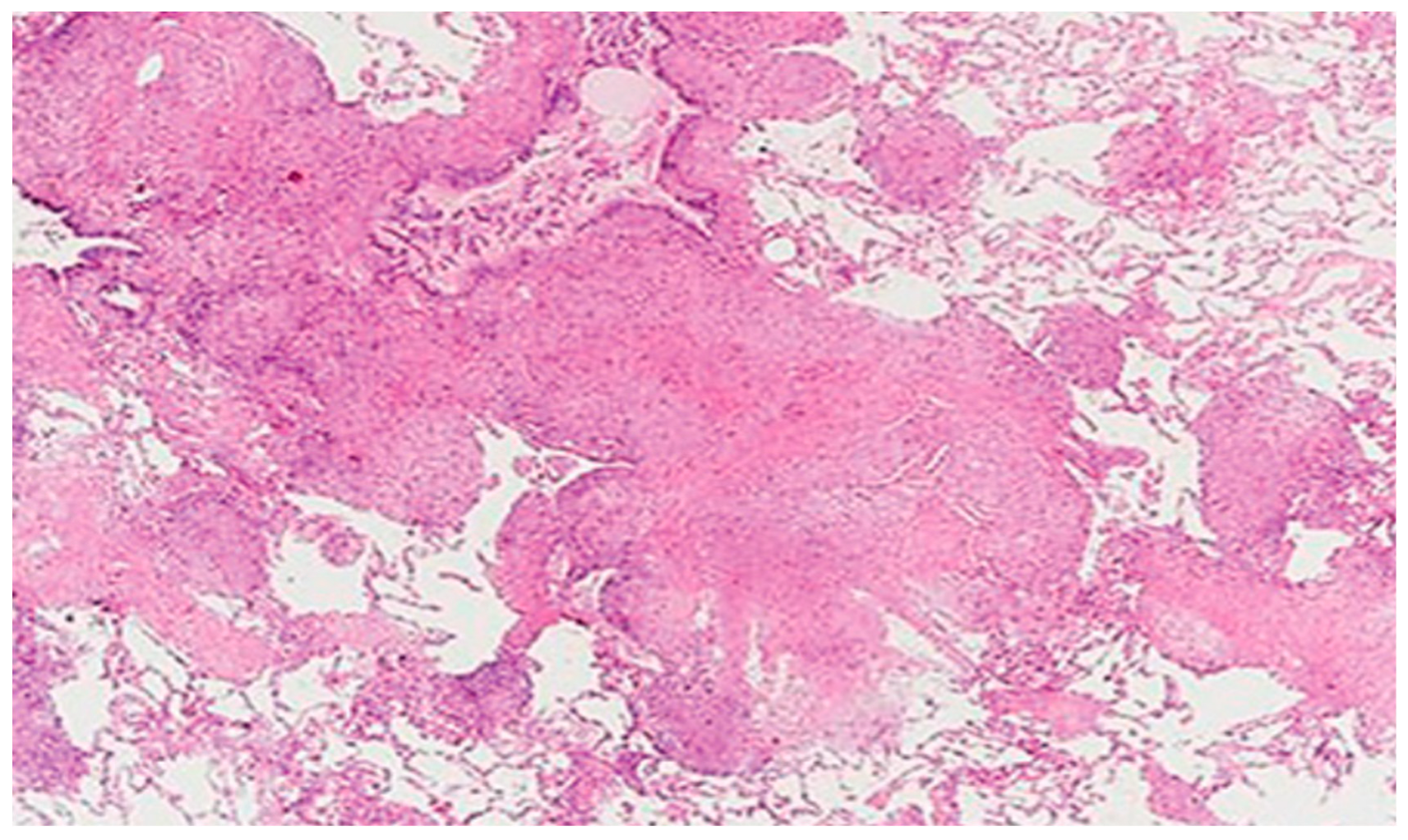 Healthcare 11 01782 g004