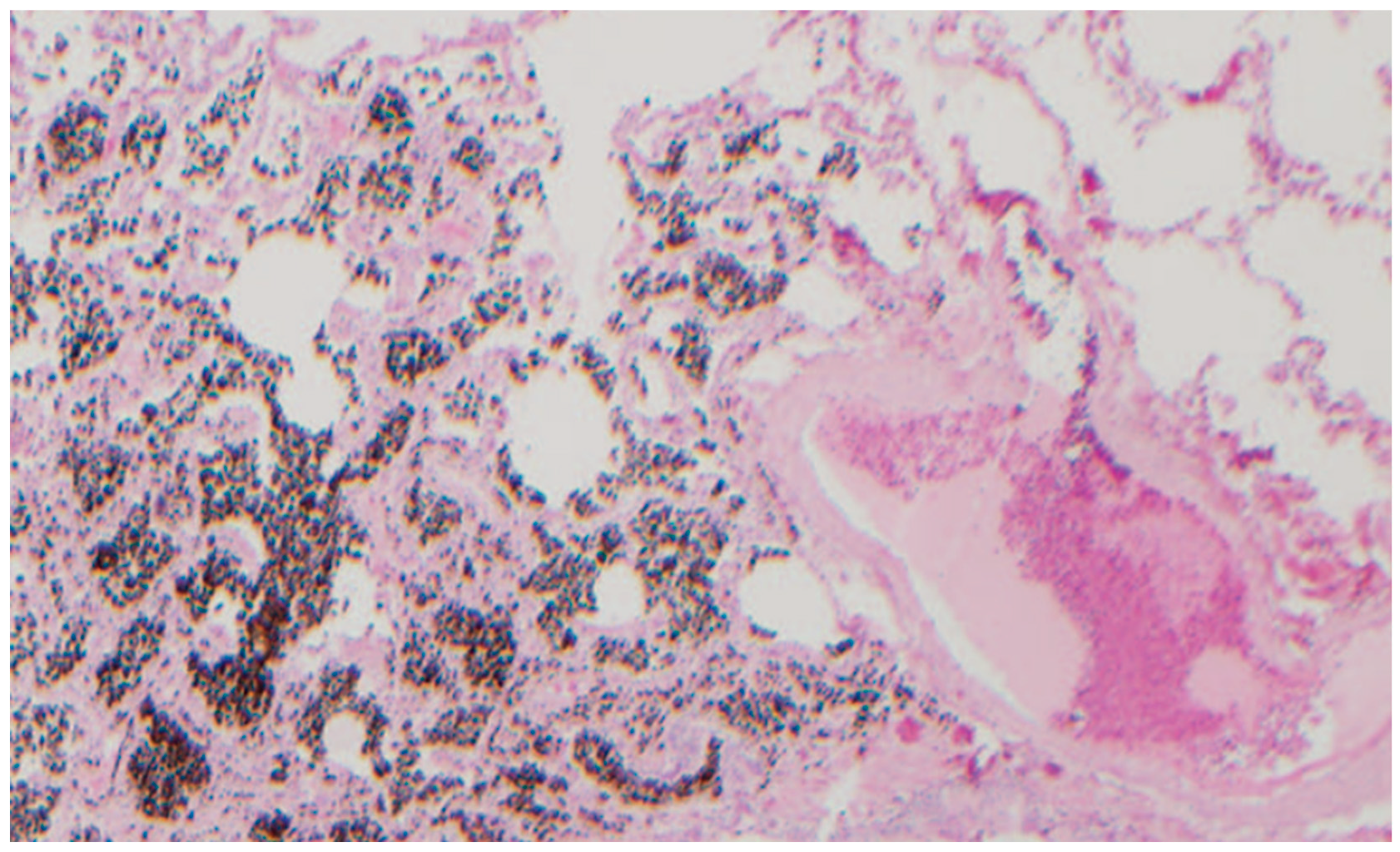 Healthcare 11 01782 g008