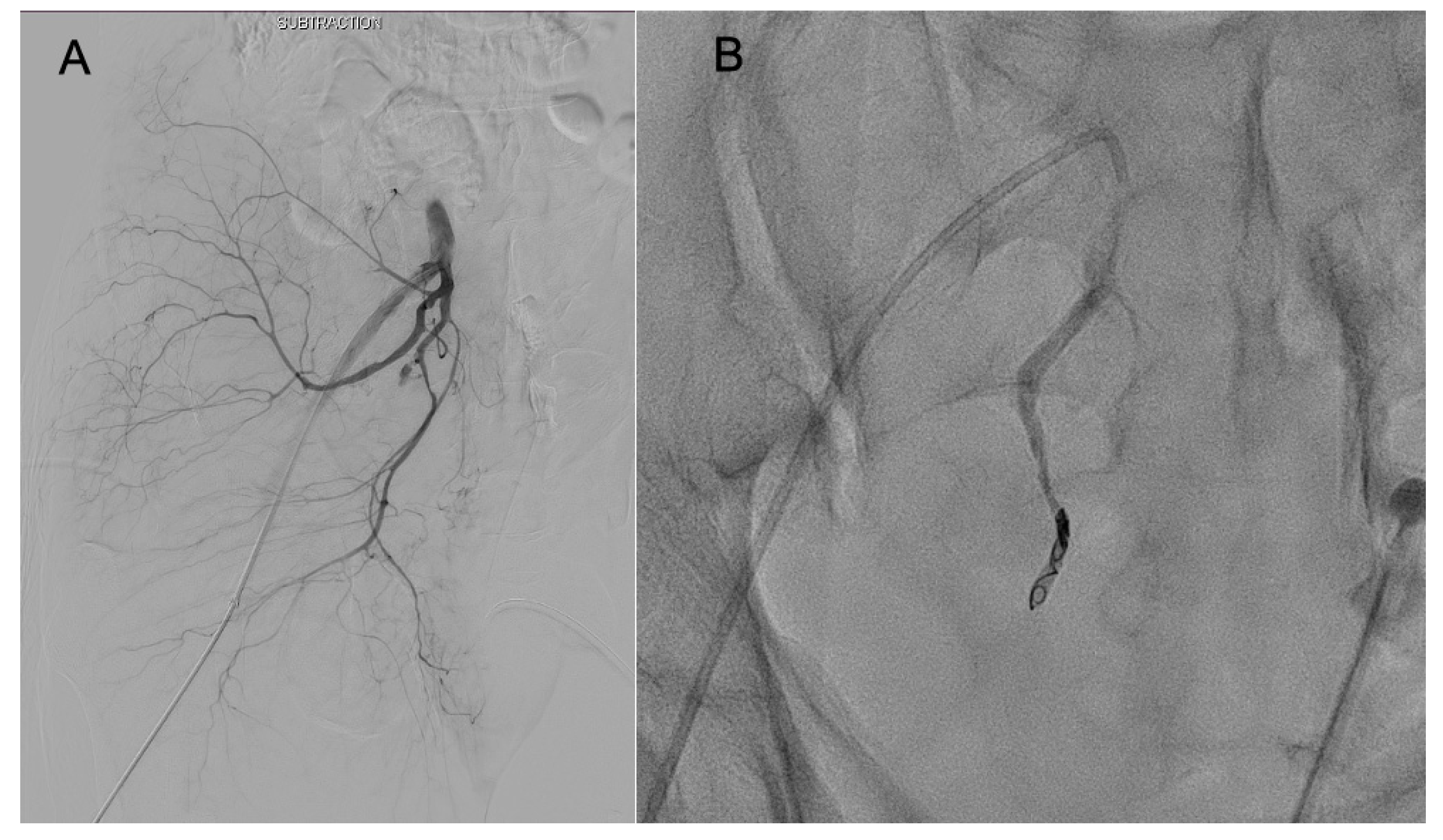 Healthcare 11 01784 g004 Healthcare 11 01784 g004