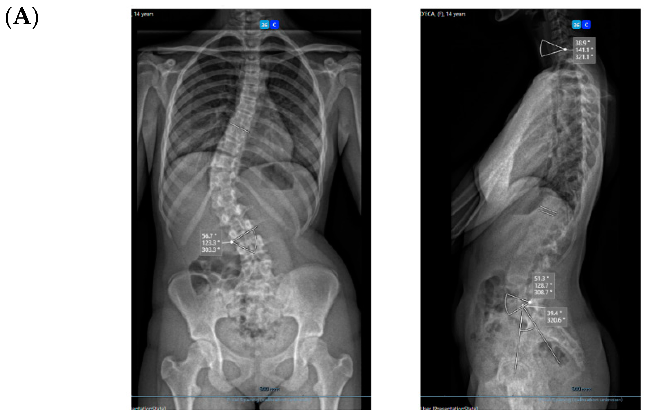 Healthcare 11 01878 g003a