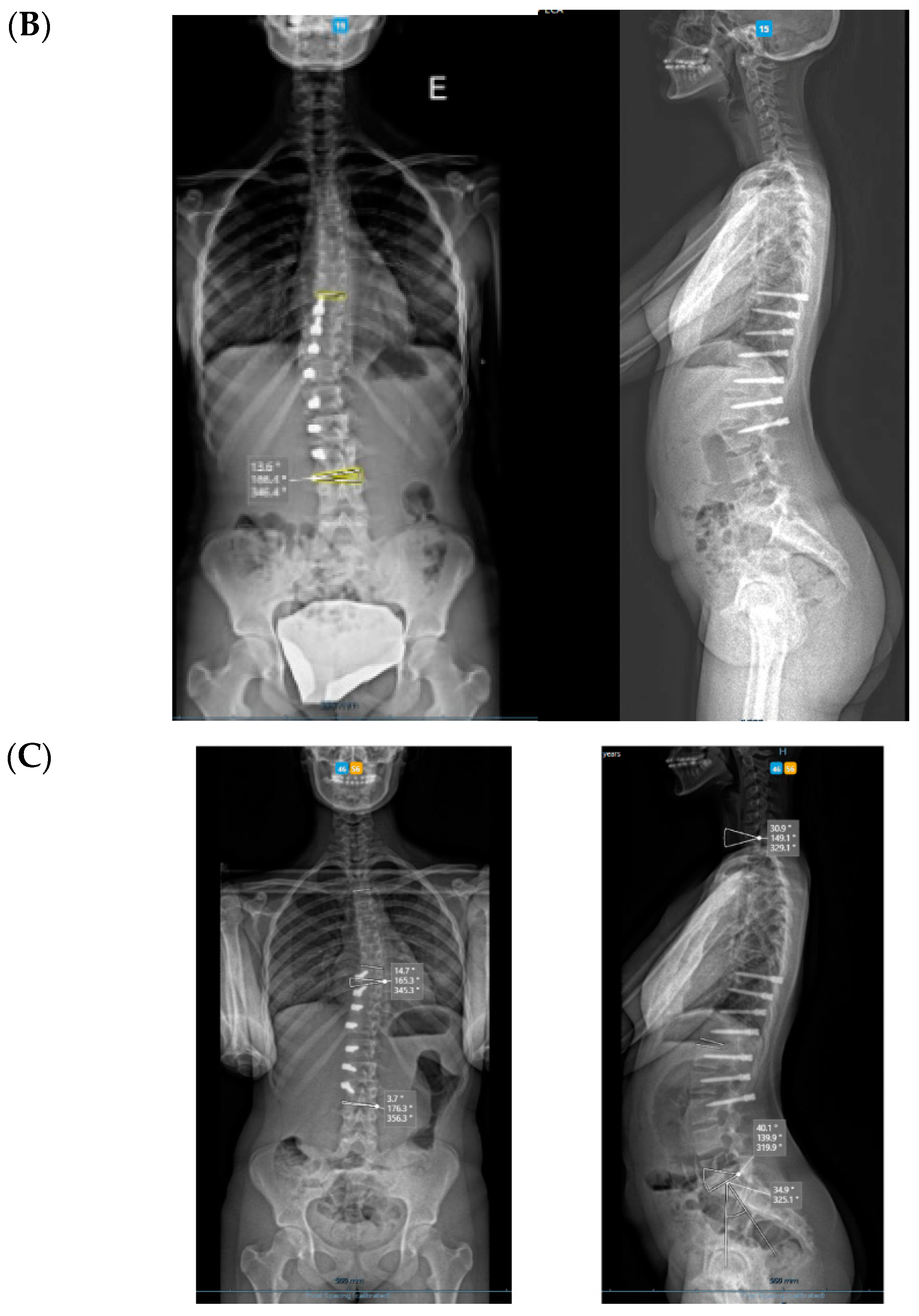 Healthcare 11 01878 g003b