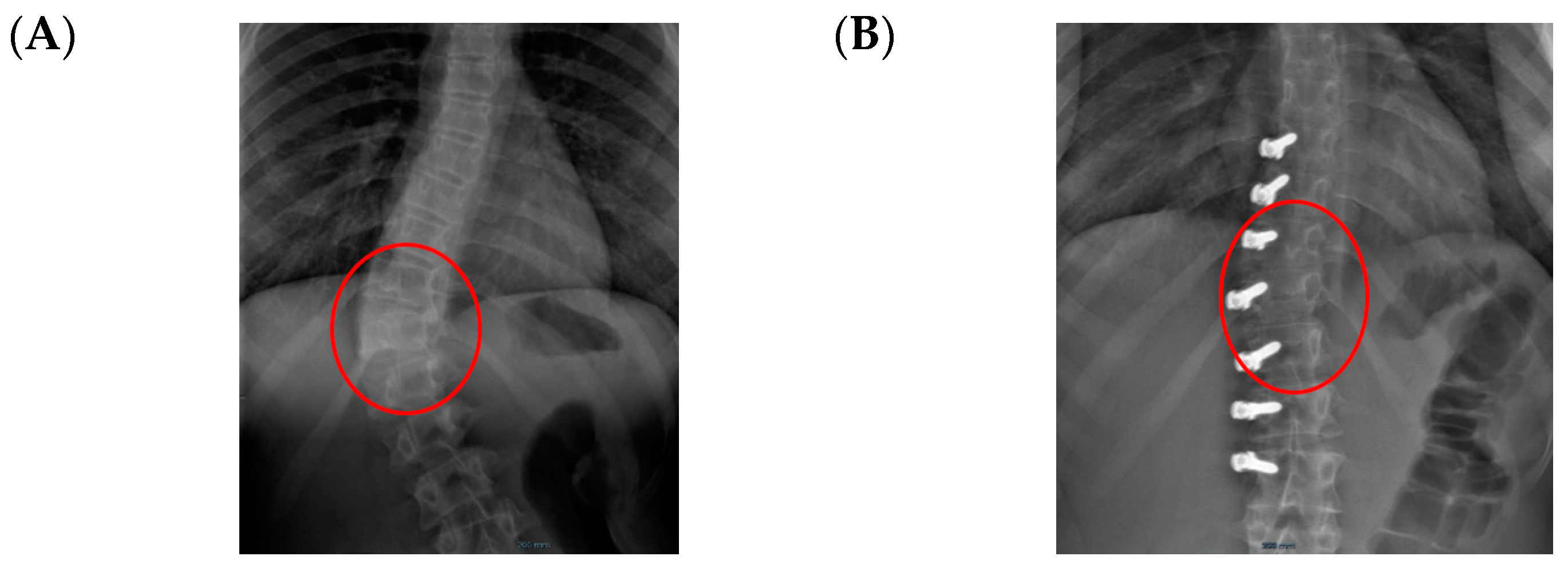 Healthcare 11 01878 g007