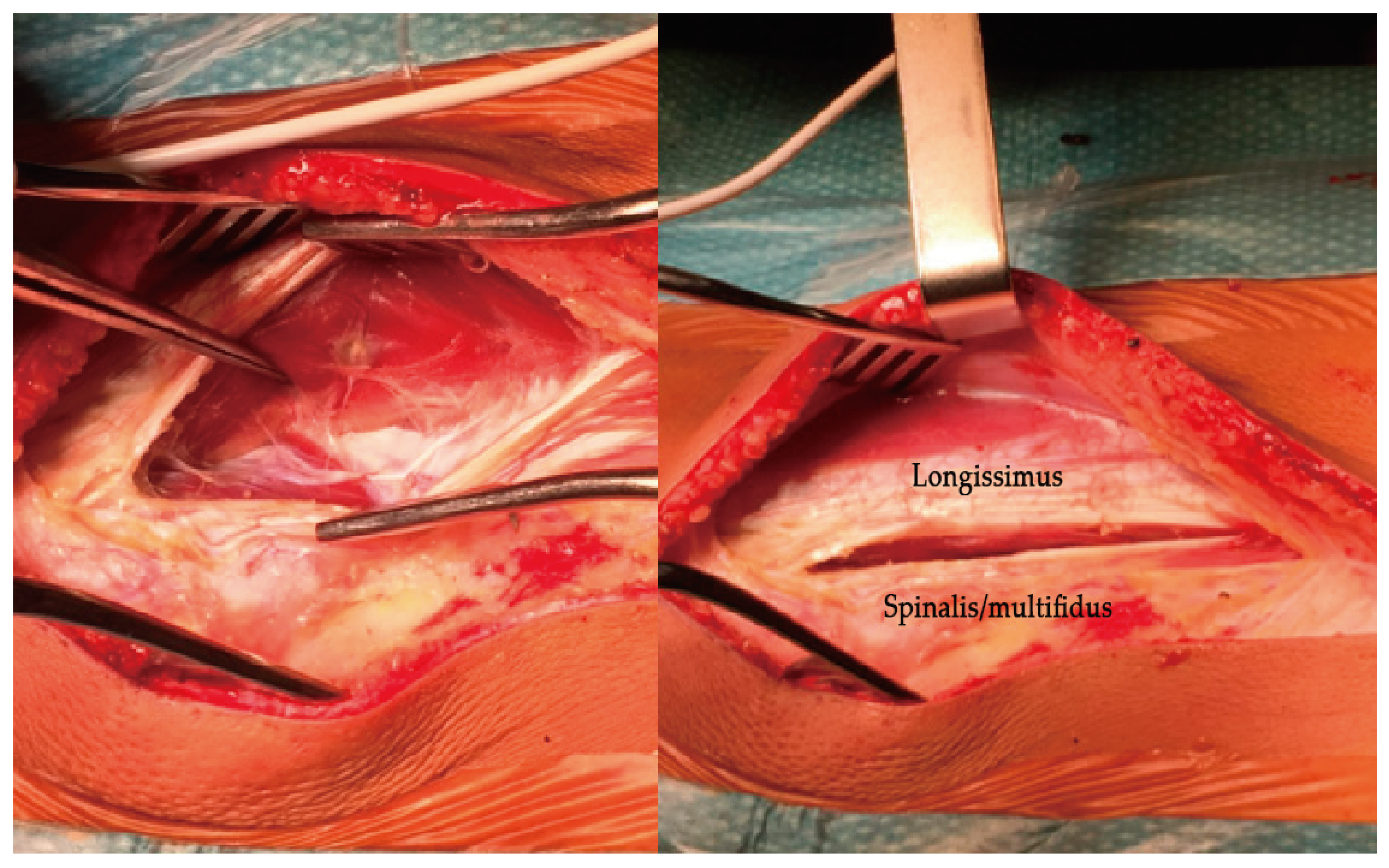 Healthcare 11 01878 g010