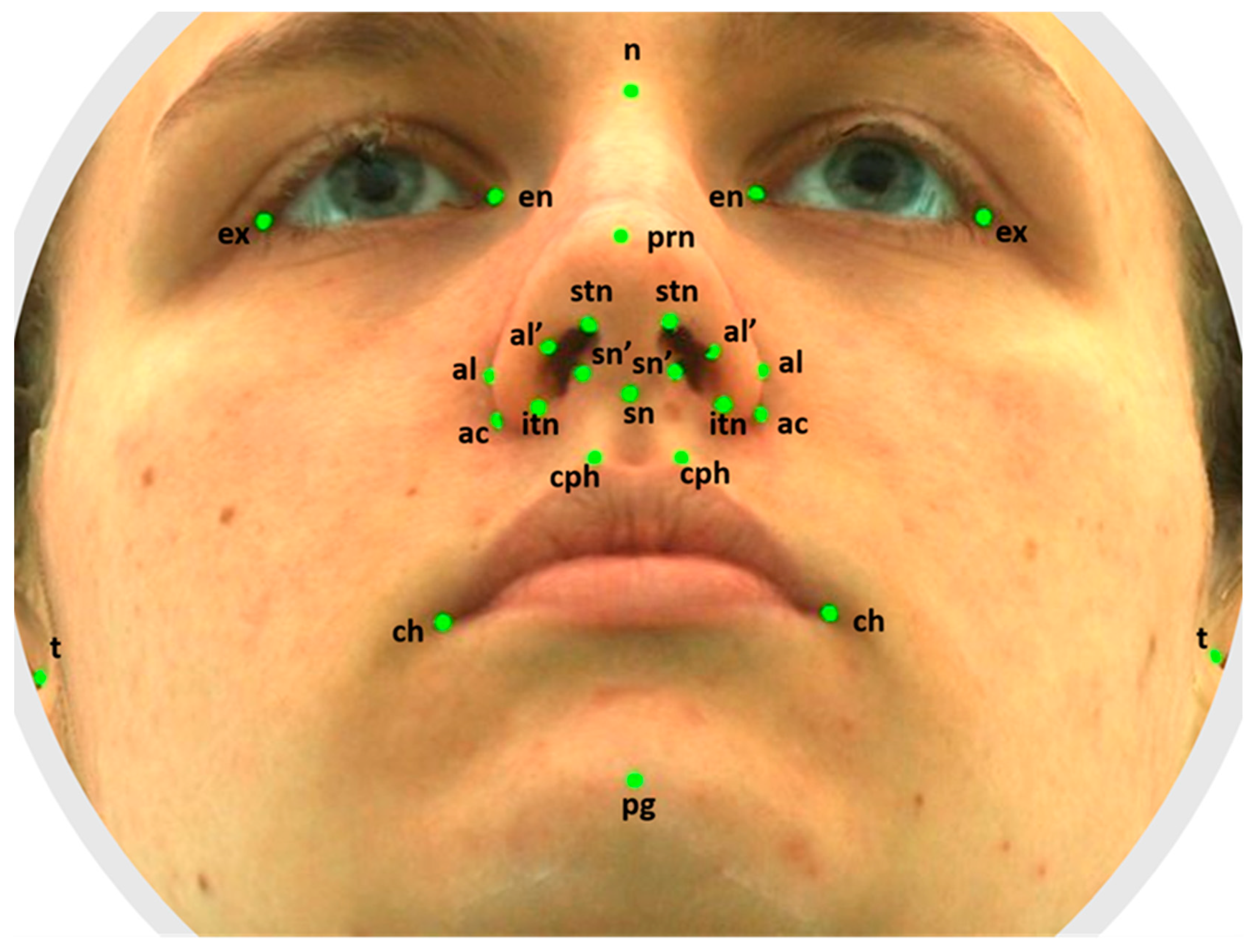 Healthcare 11 01881 g001 Healthcare 11 01881 g001